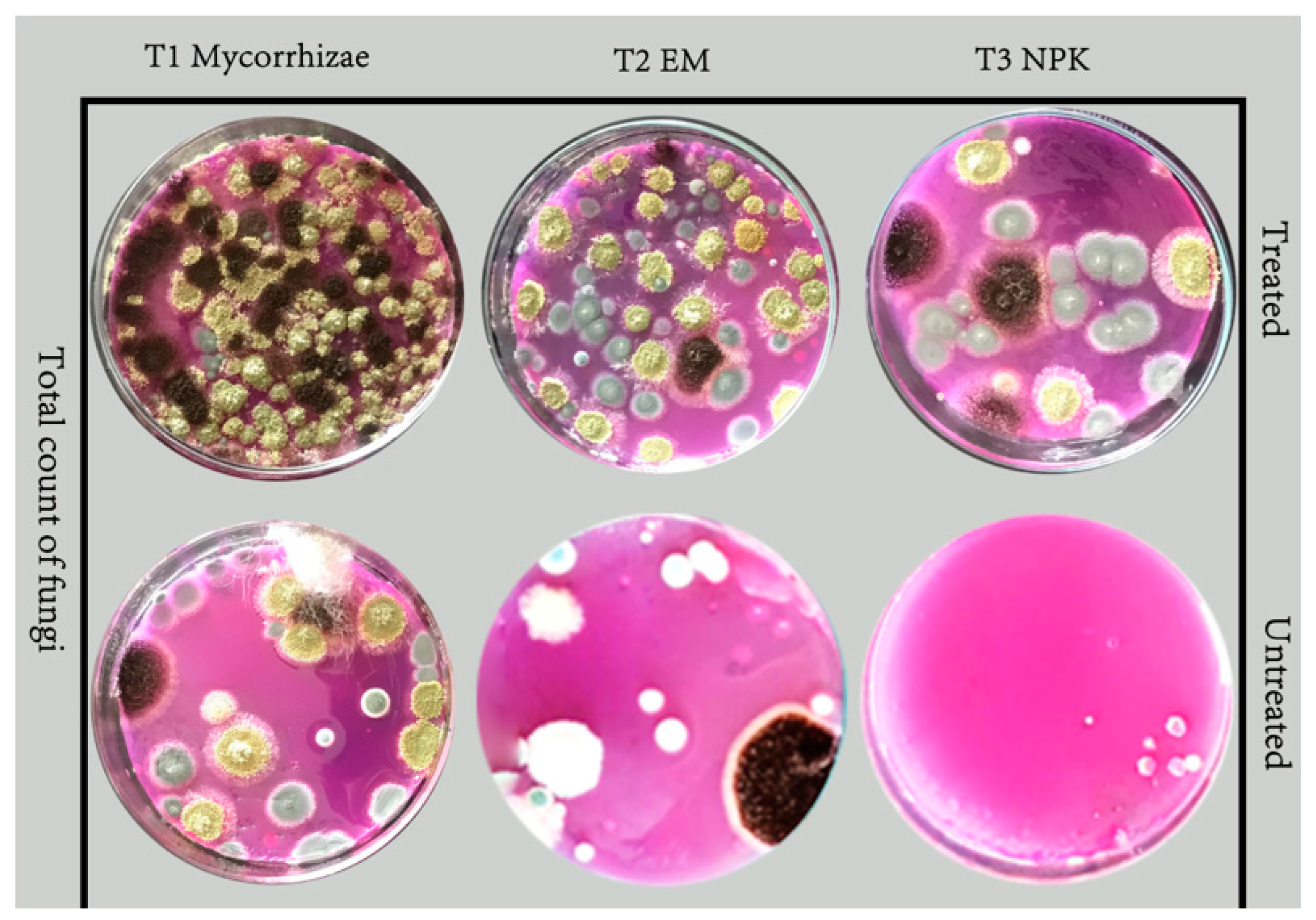 Agronomy 13 02477 g005 Agronomy 13 02477 g005