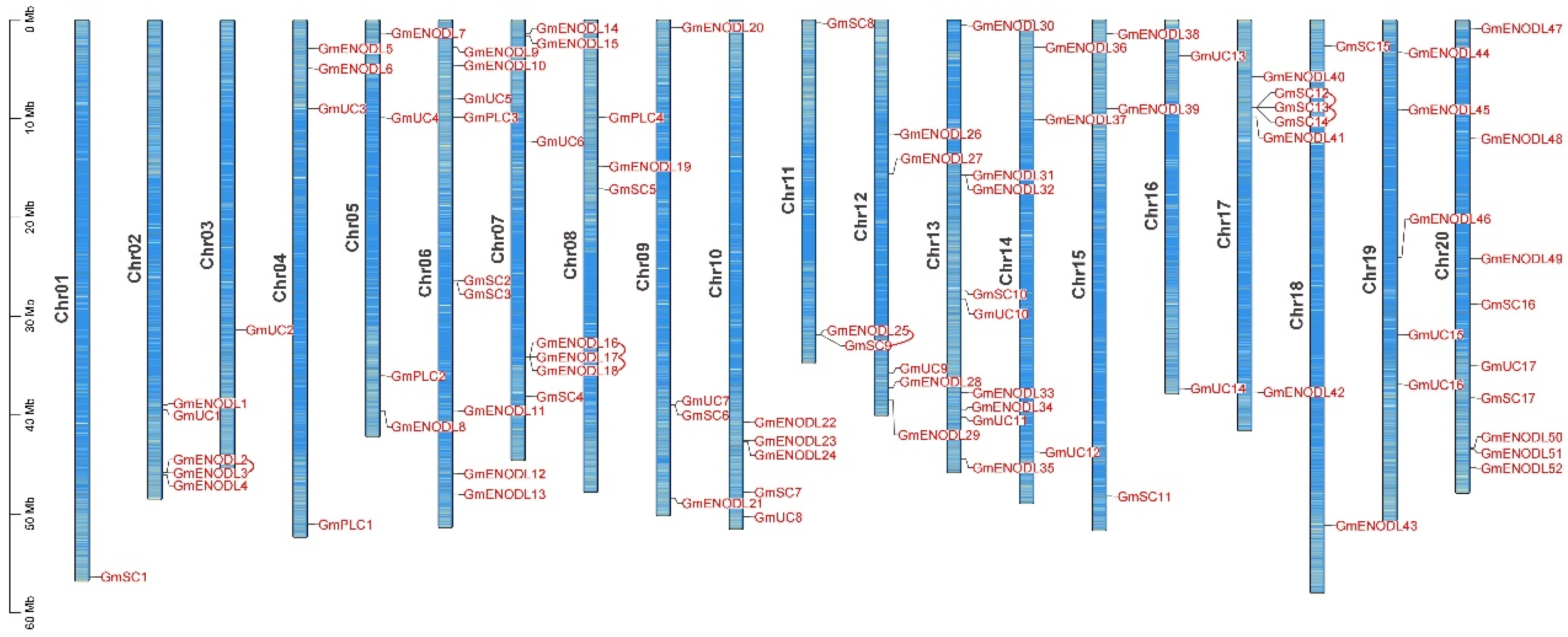 Agronomy 13 02484 g001
