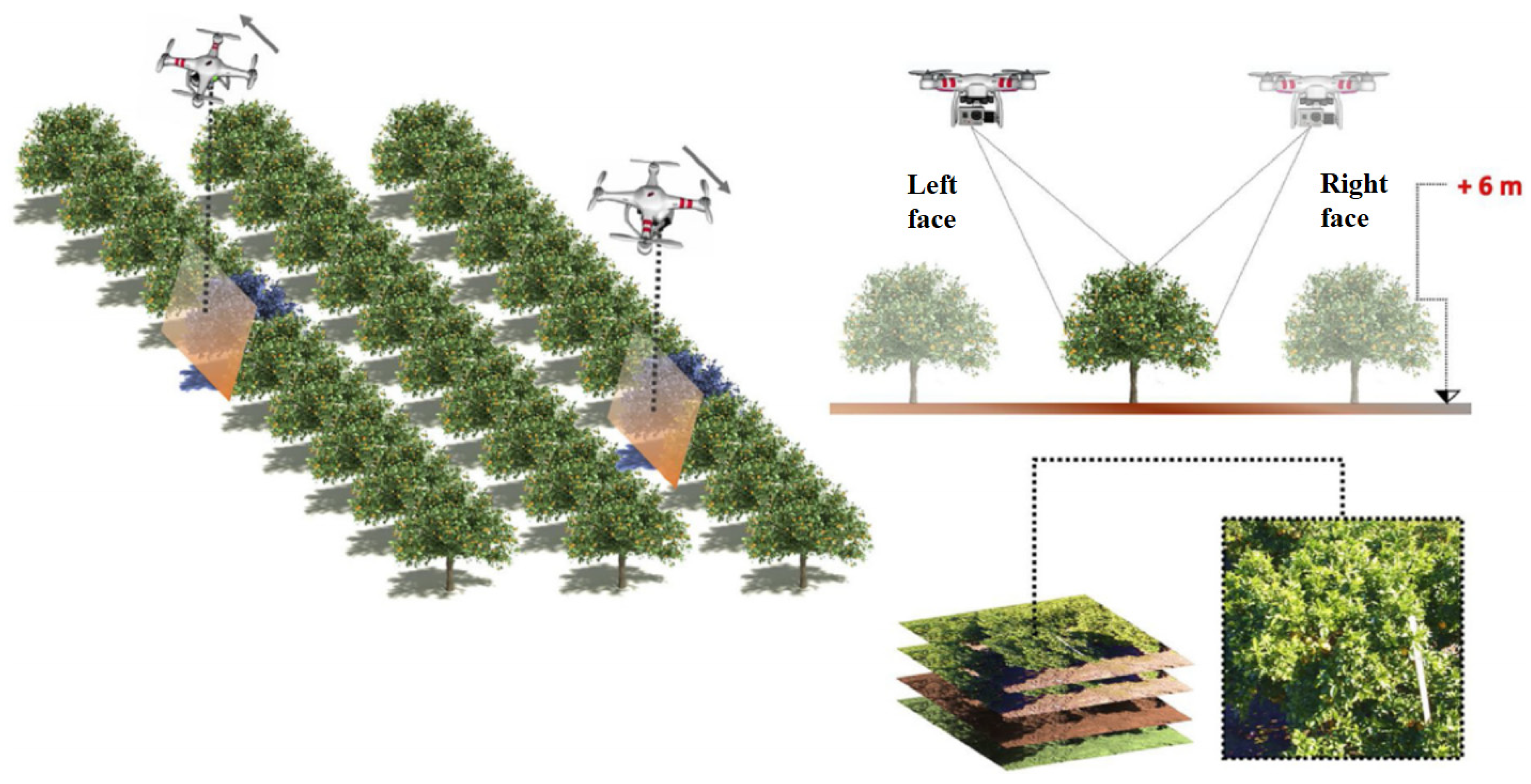 Agronomy 13 02499 g018