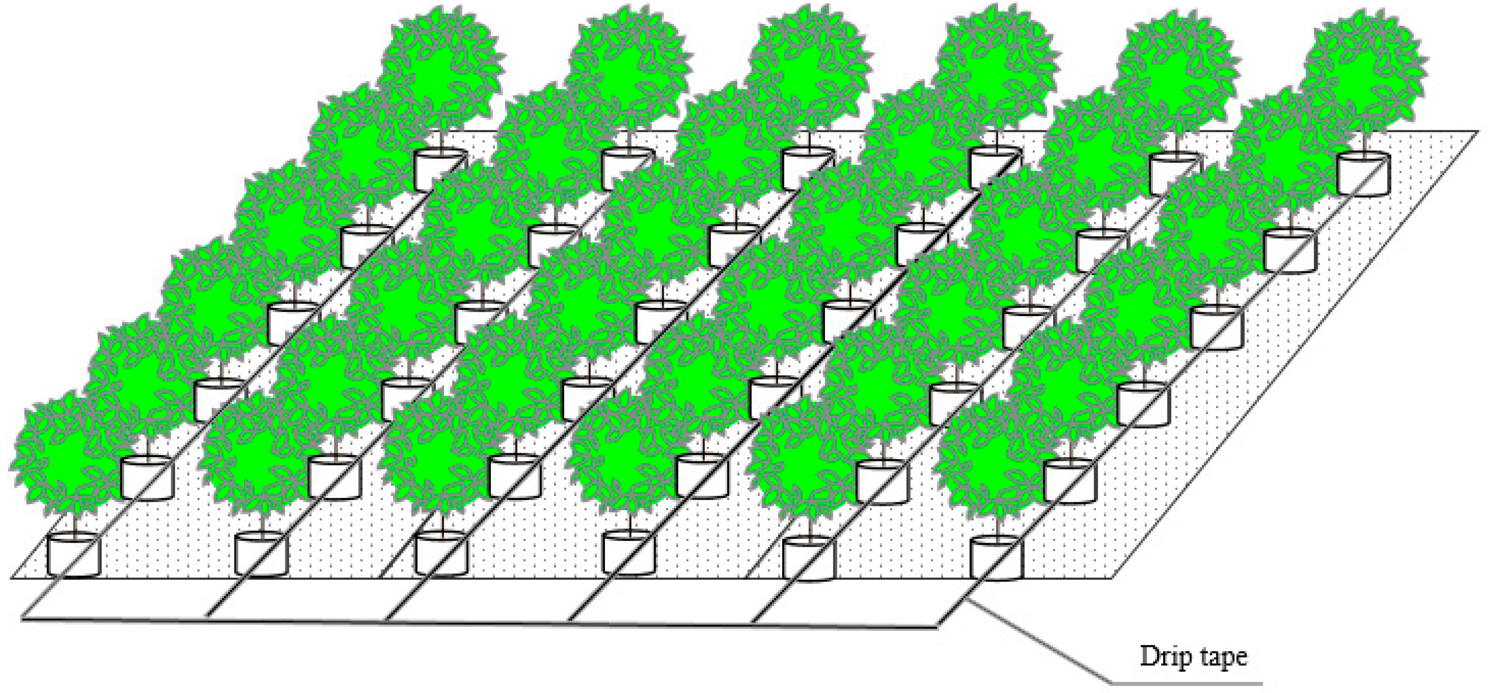 Agronomy 13 02506 g002