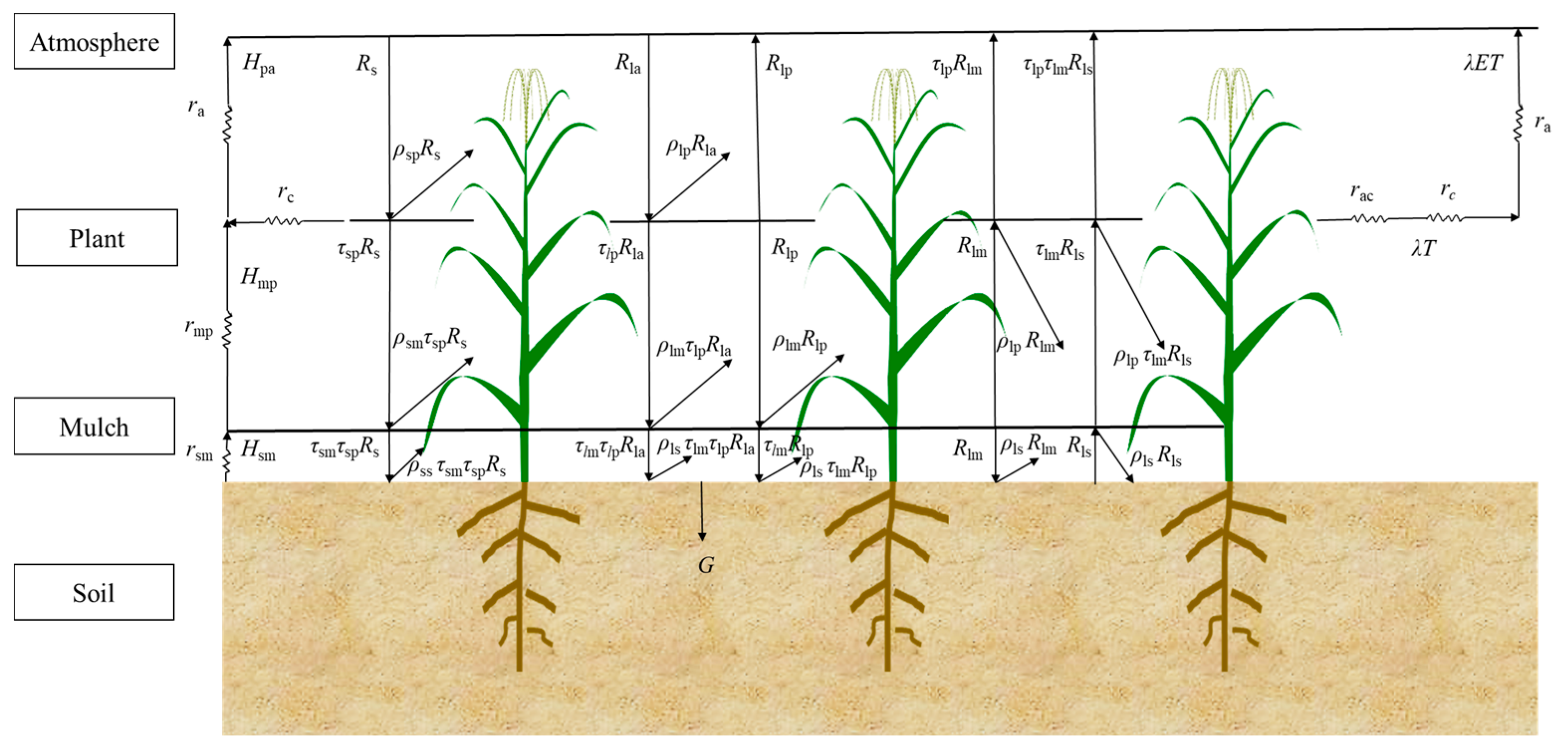 Agronomy 13 02515 g003