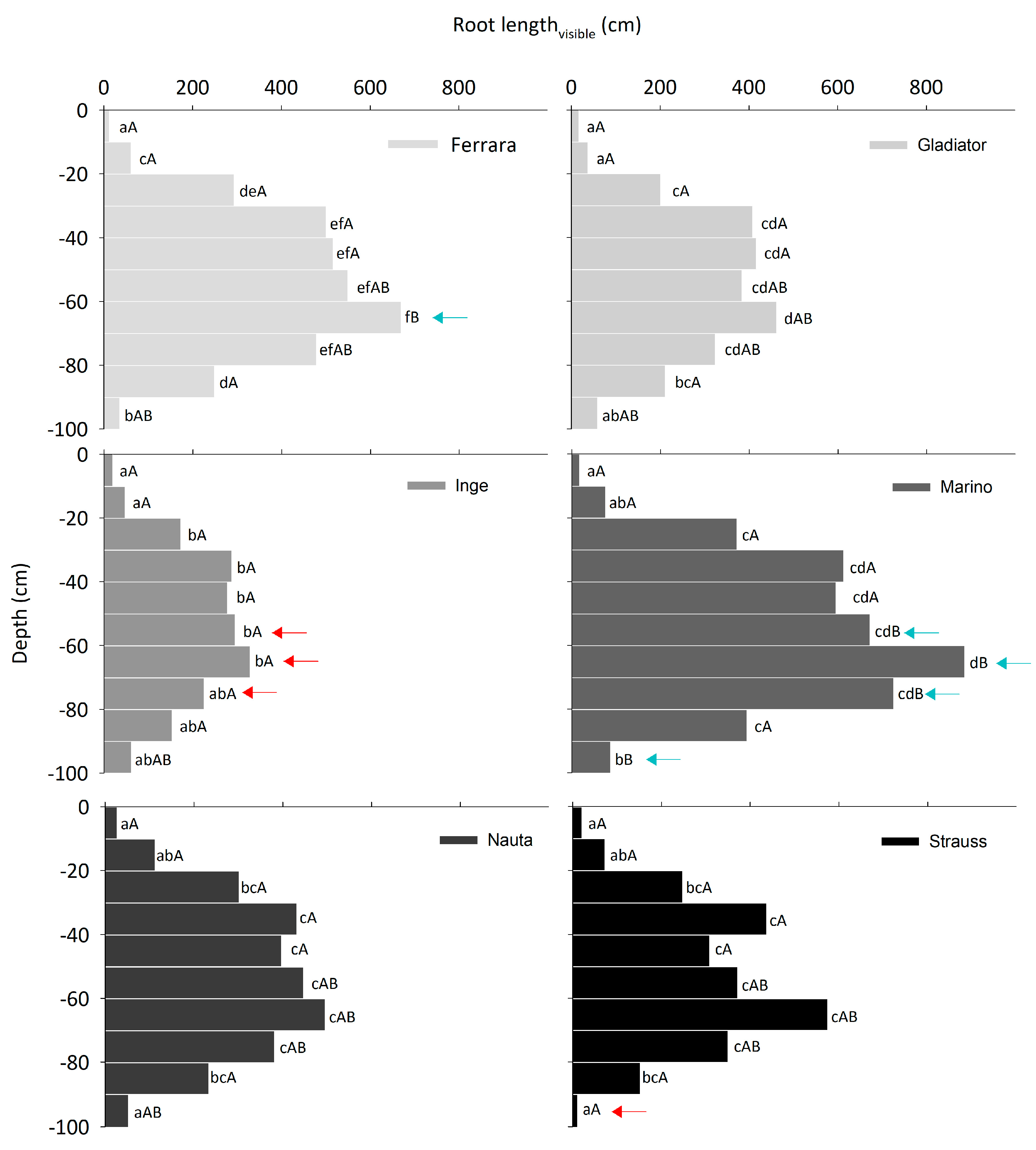 Agronomy 13 02519 g007