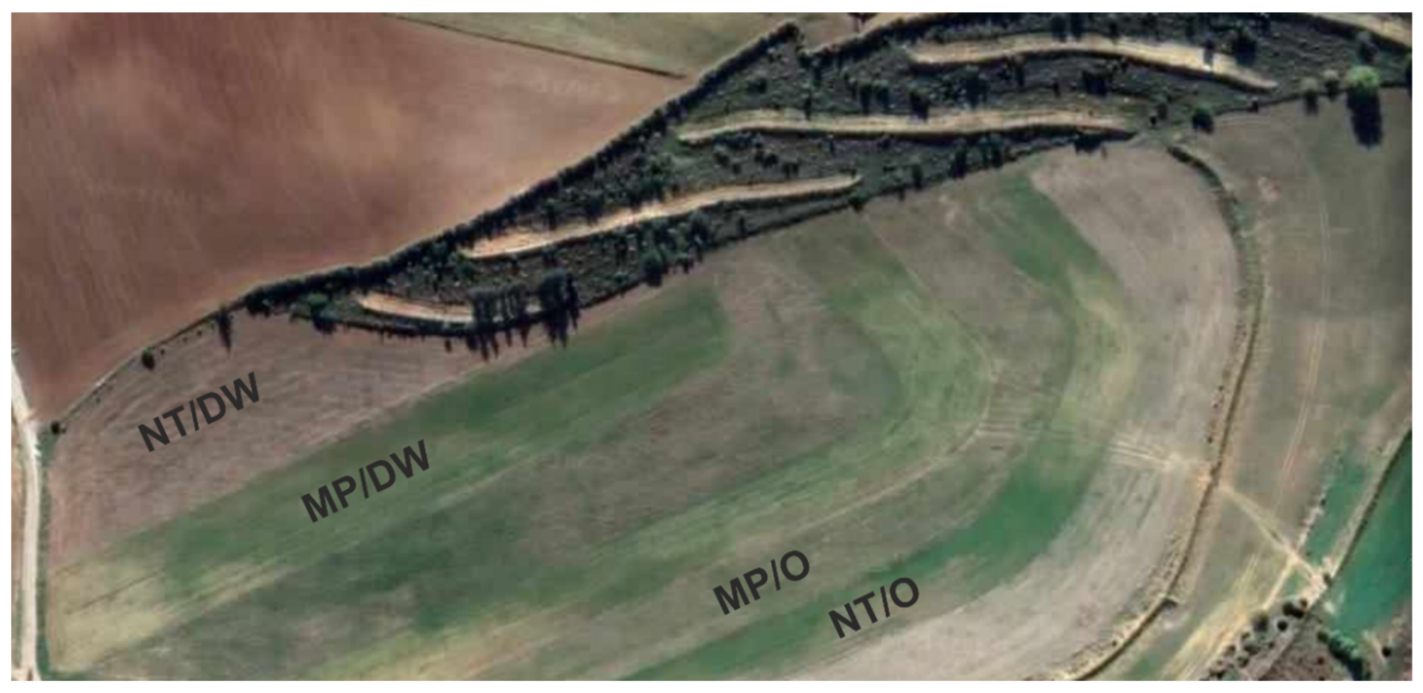 Agronomy 13 02520 g001