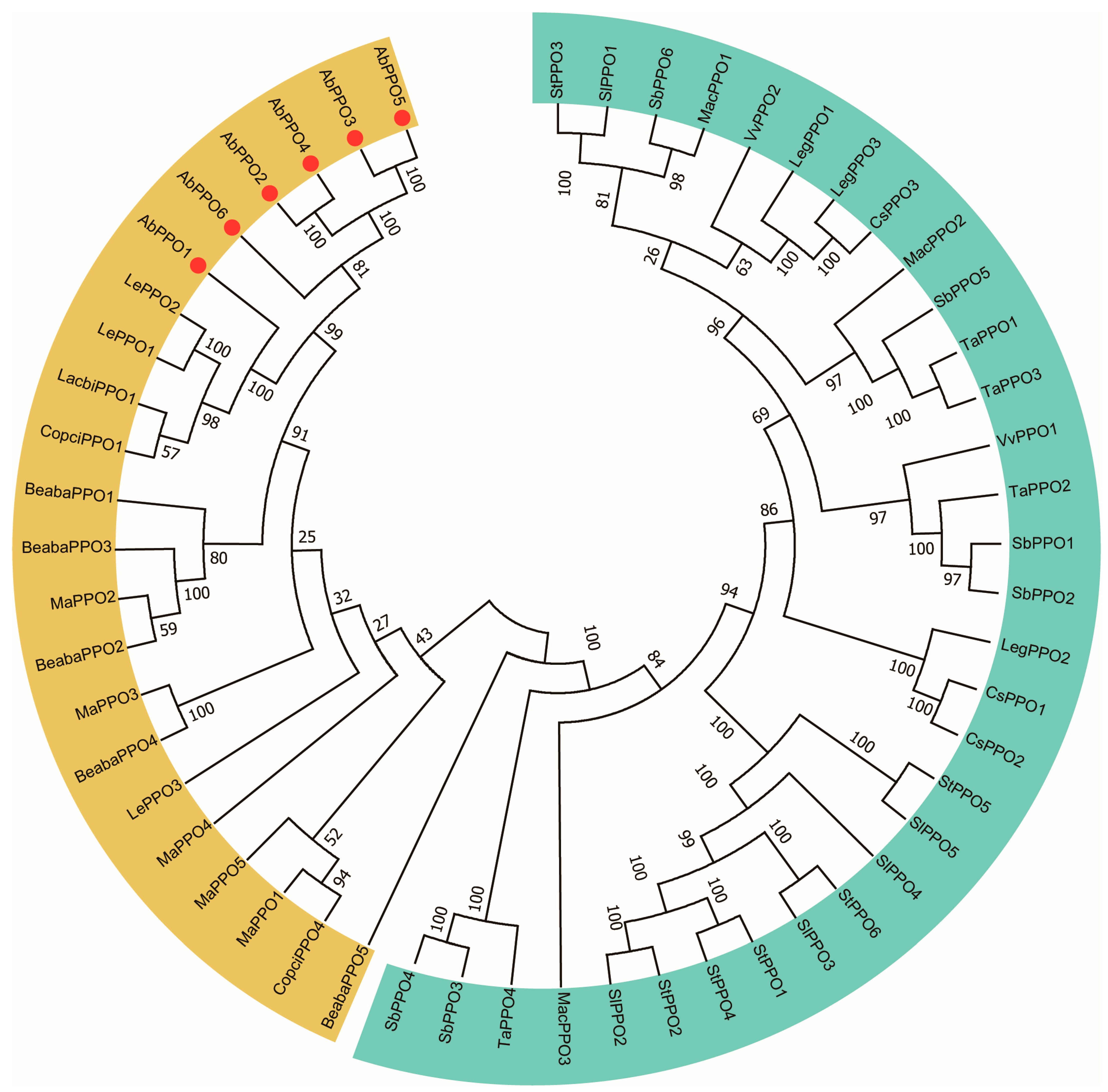 Agronomy 13 02534 g002