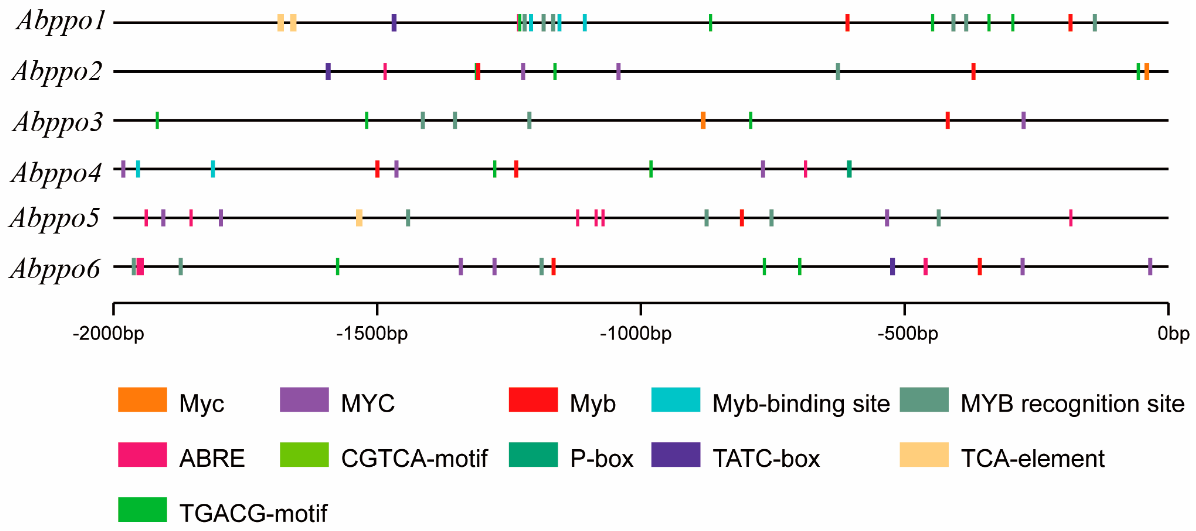 Agronomy 13 02534 g007