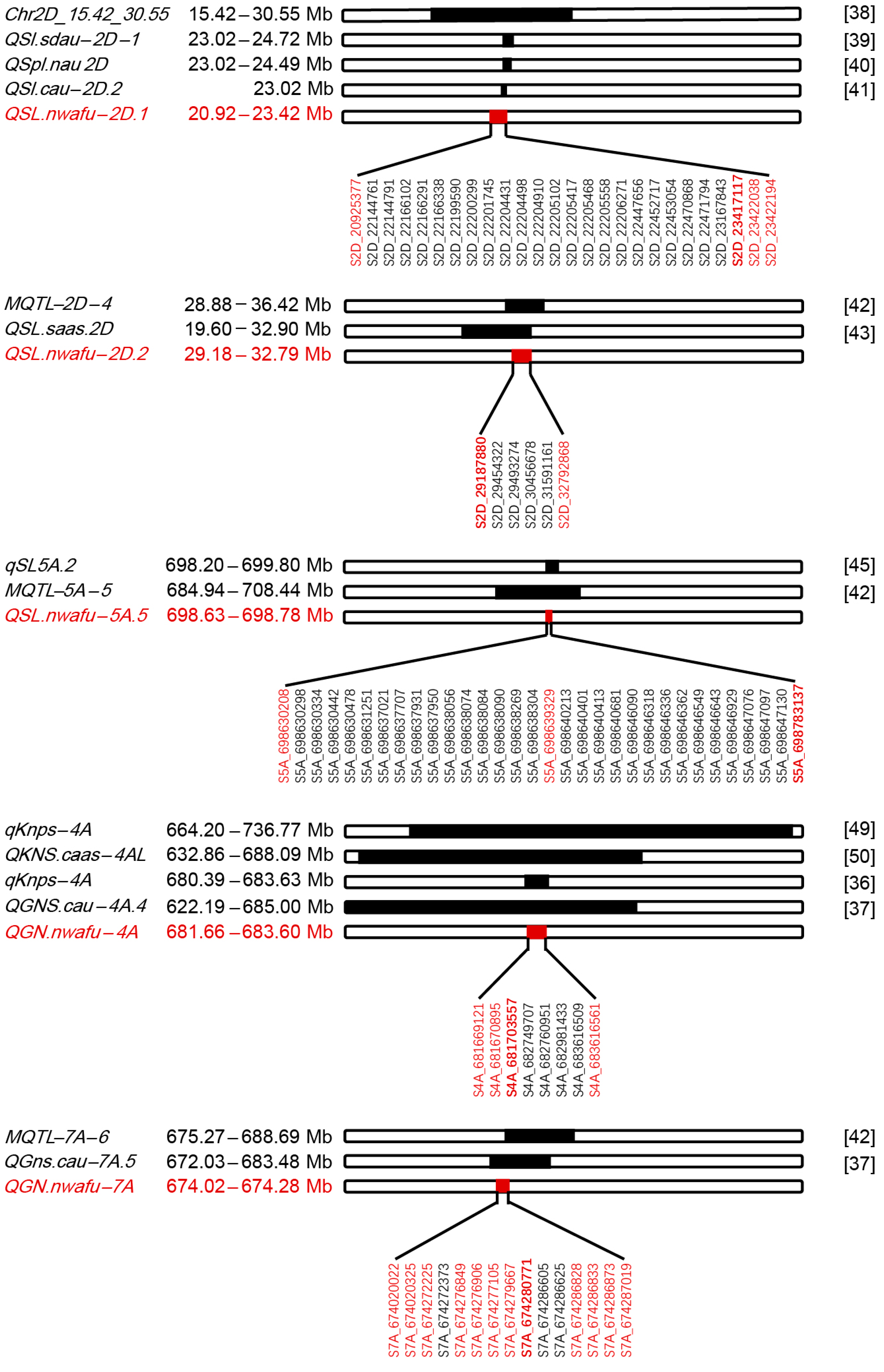 Agronomy 13 02538 g004