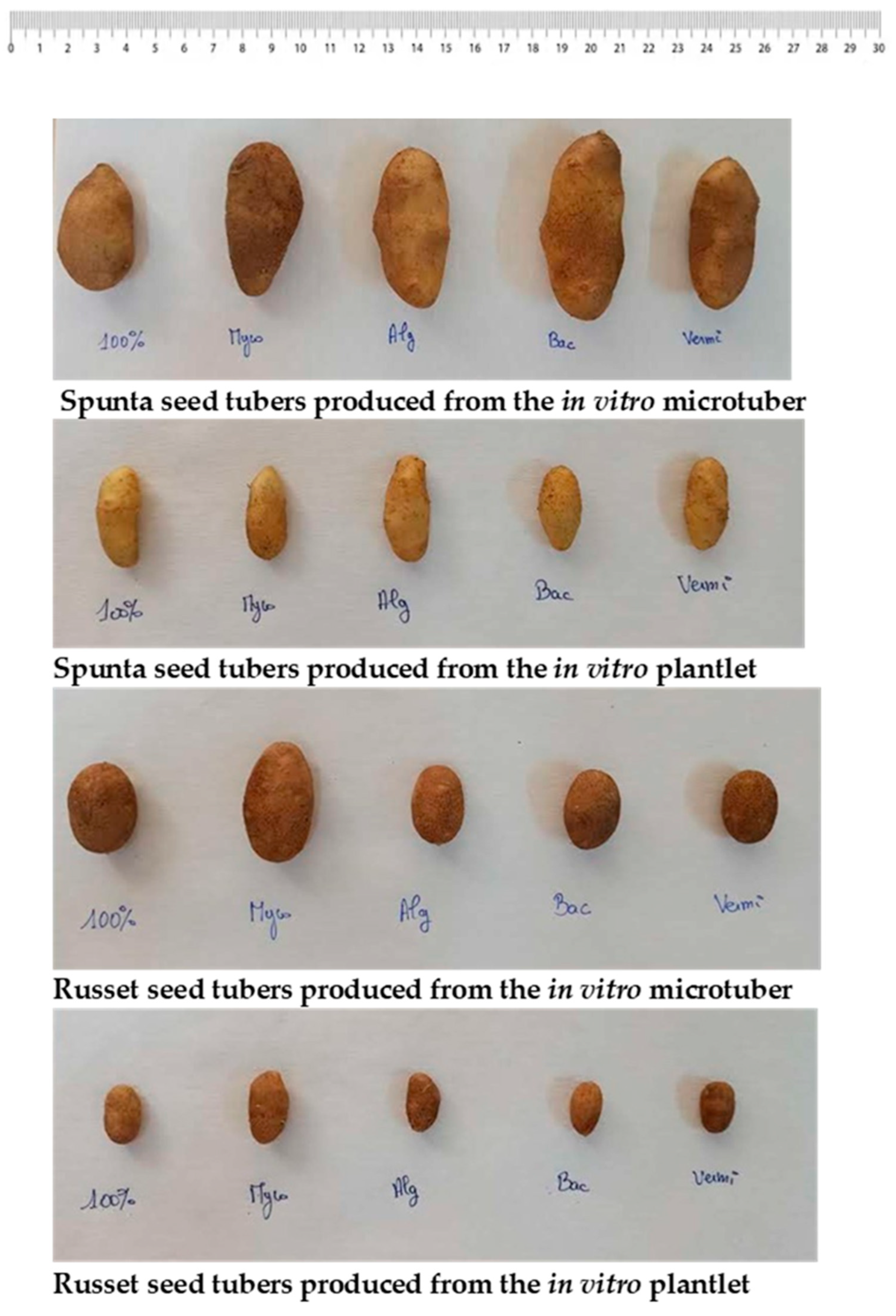 Agronomy 13 02541 g002 Agronomy 13 02541 g002