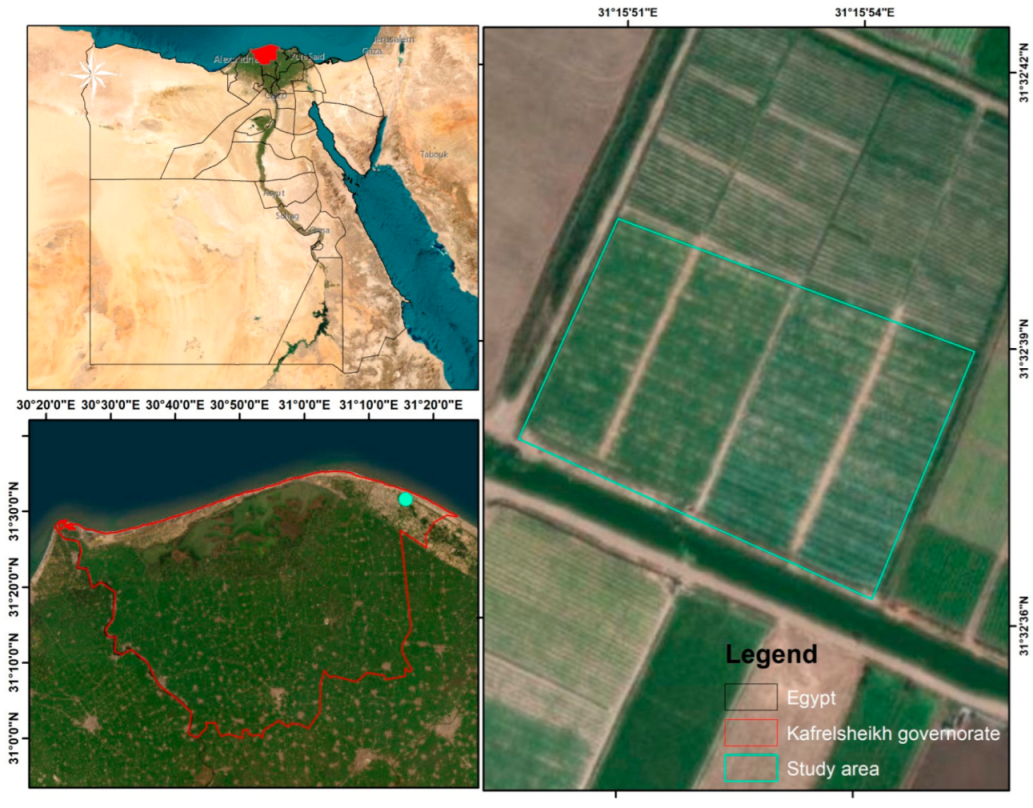 Agronomy 13 02544 g001