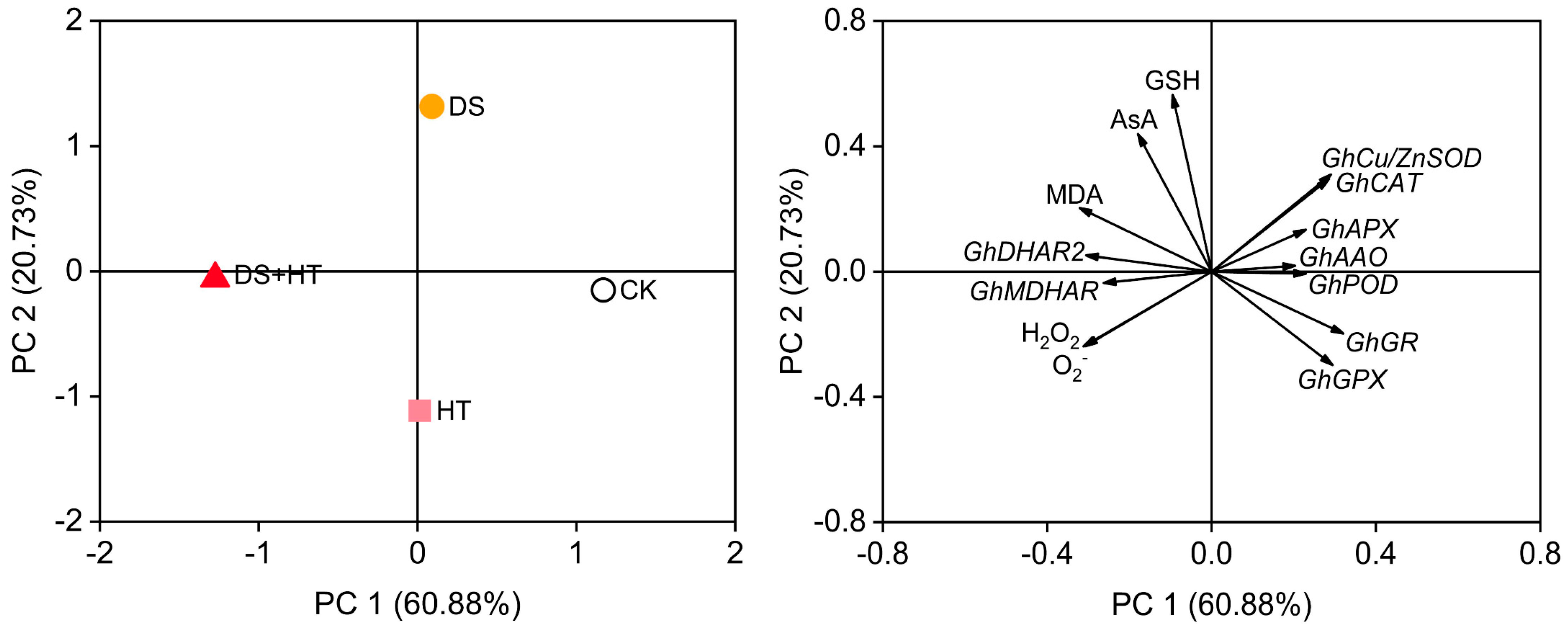 Agronomy 13 02550 g008