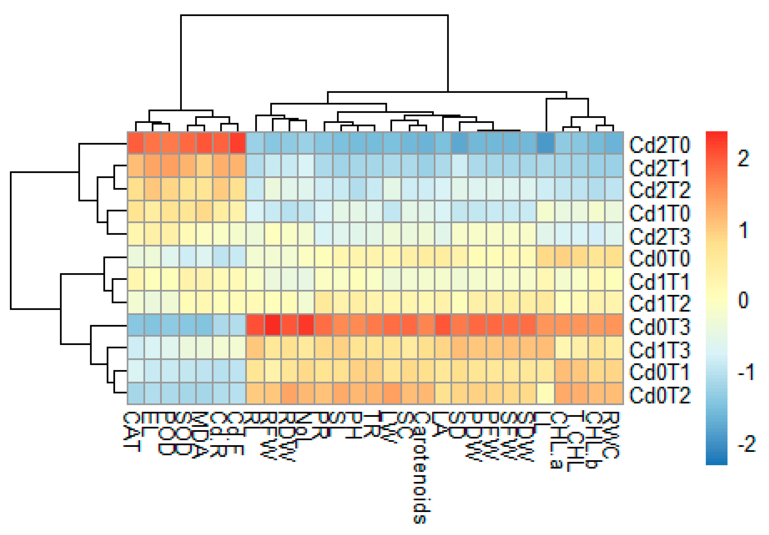 Agronomy 13 02554 g007