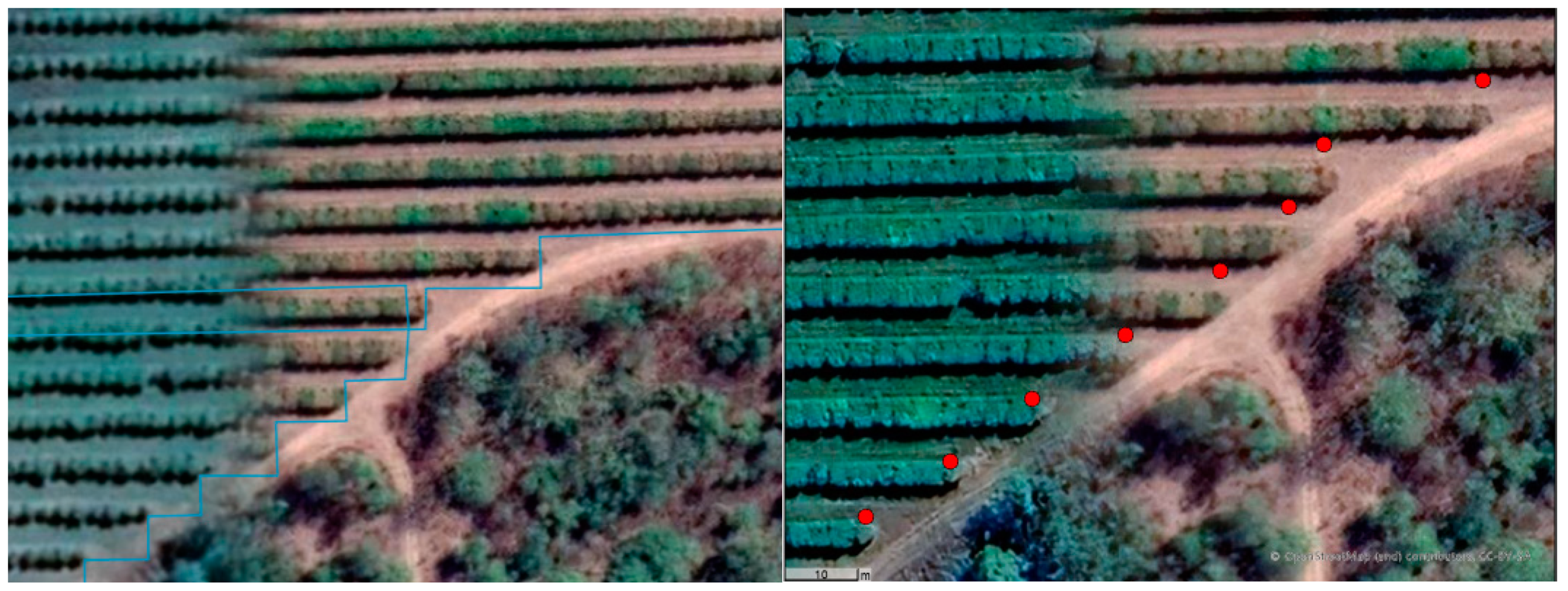 Agronomy 13 02563 g008