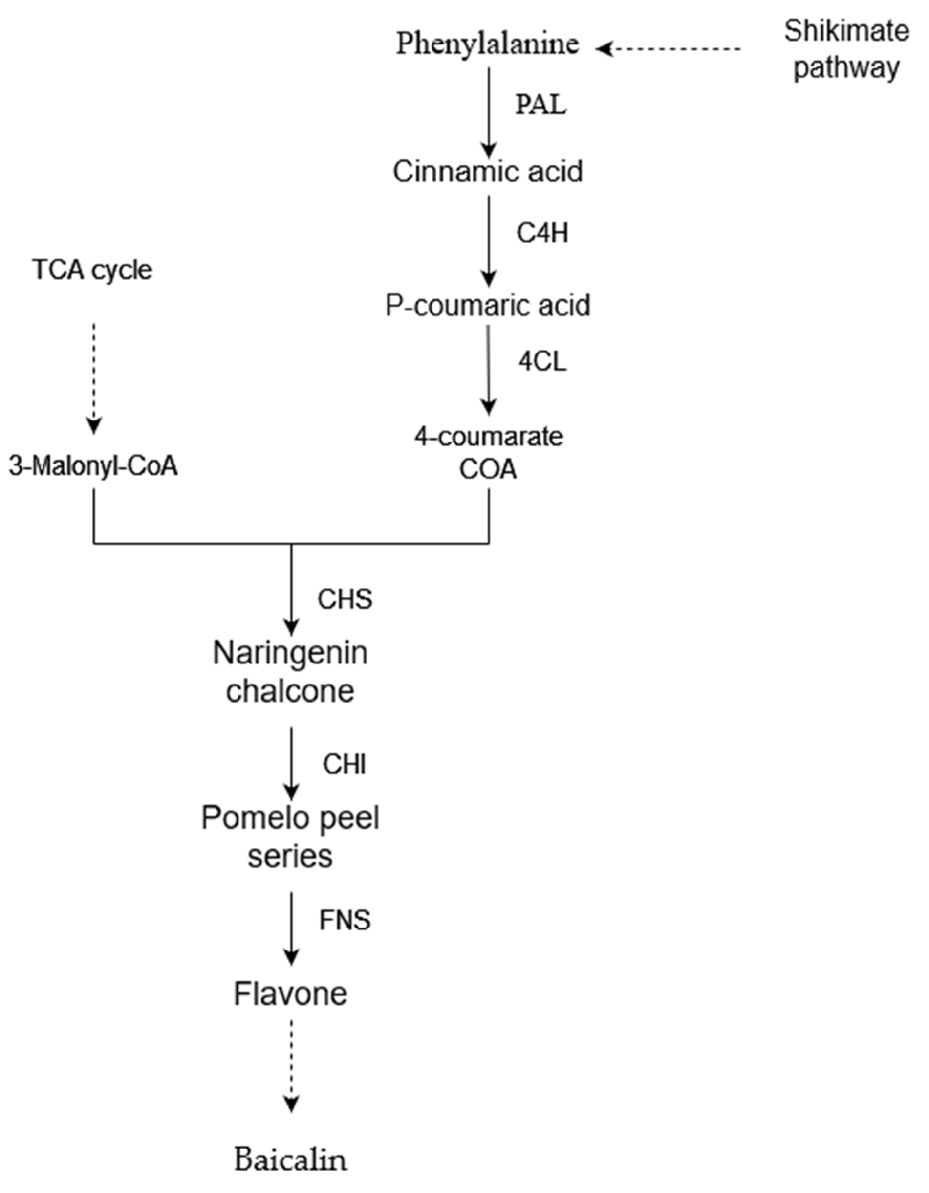 Agronomy 13 02564 g001