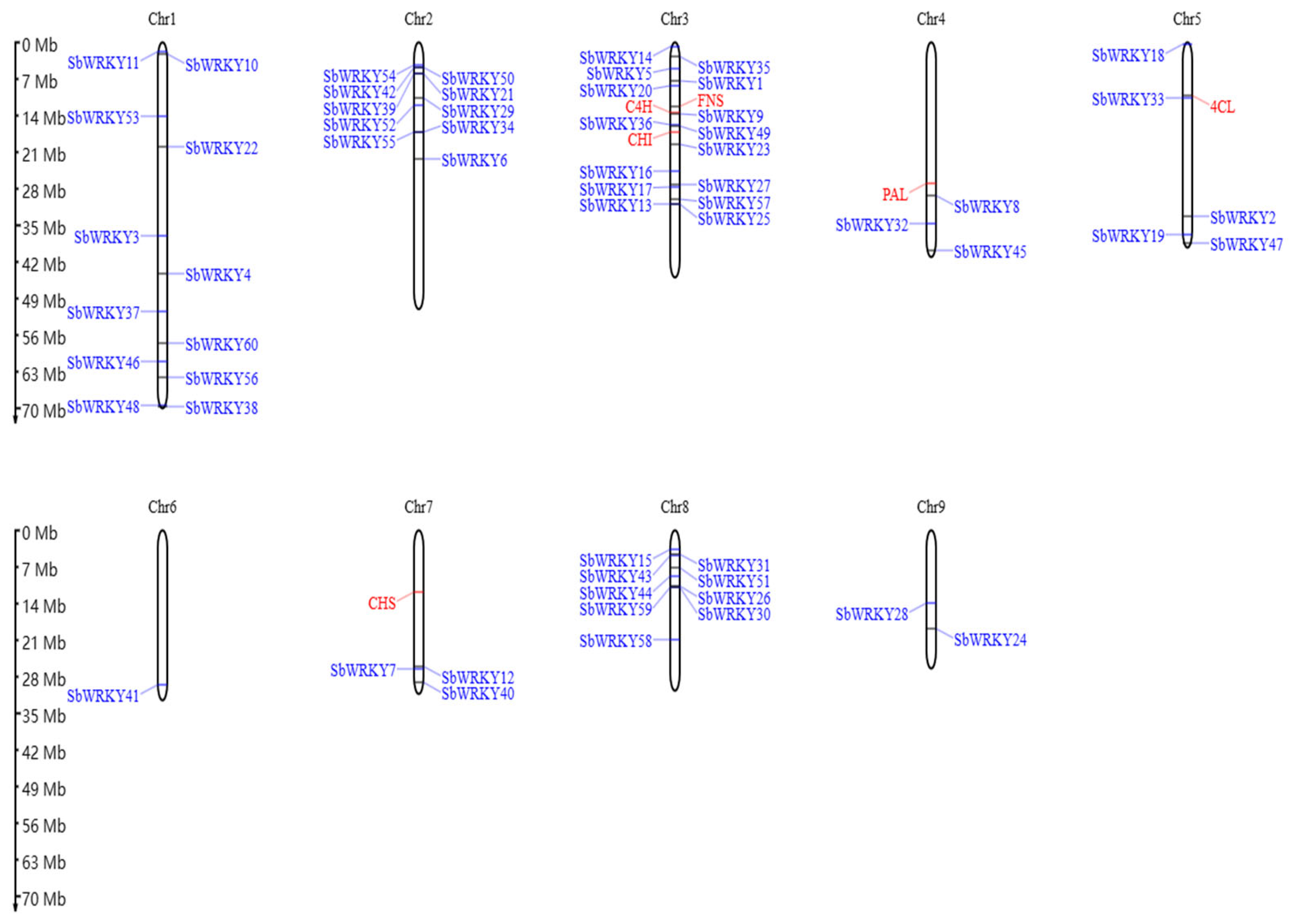Agronomy 13 02564 g003