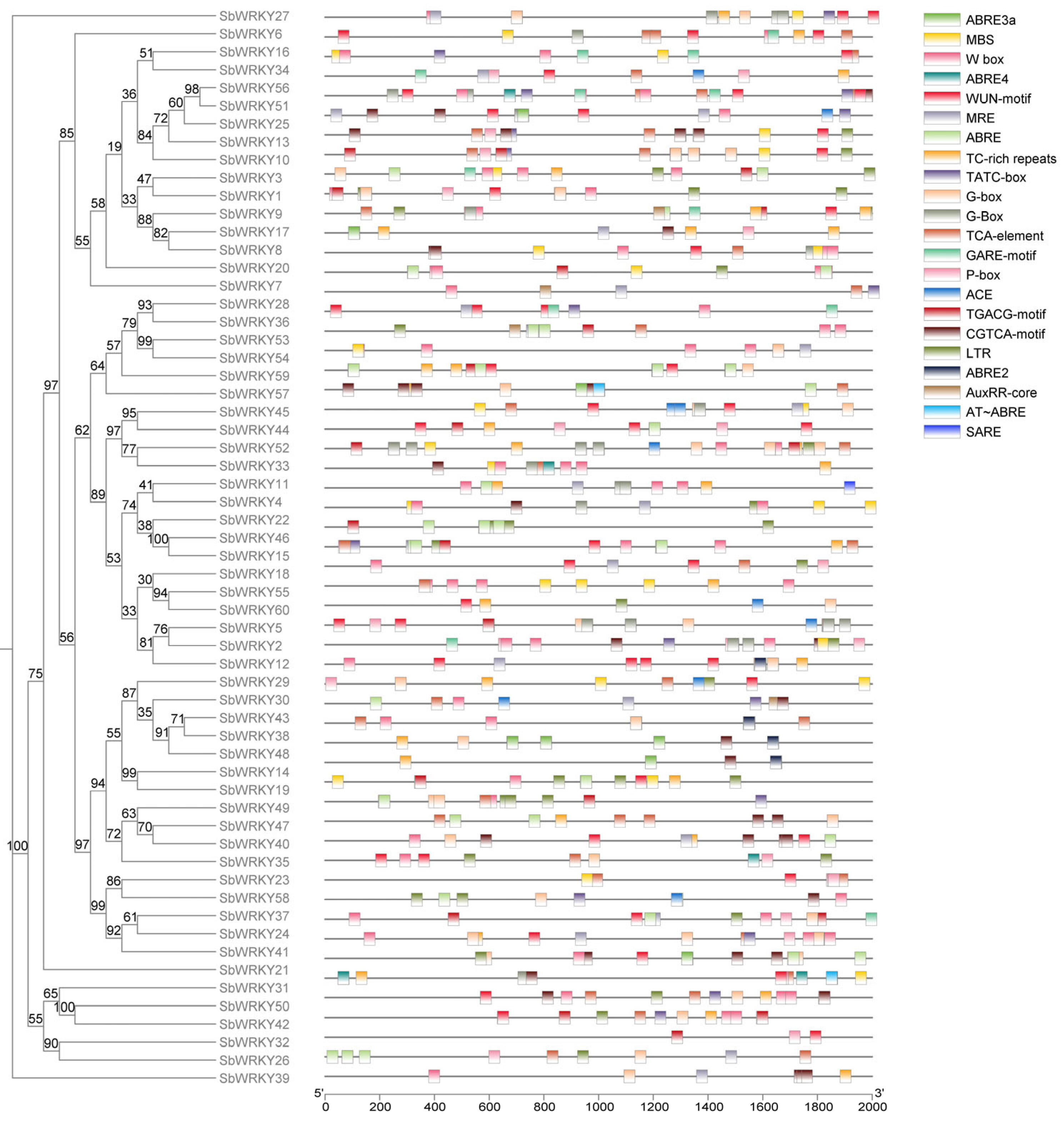Agronomy 13 02564 g005