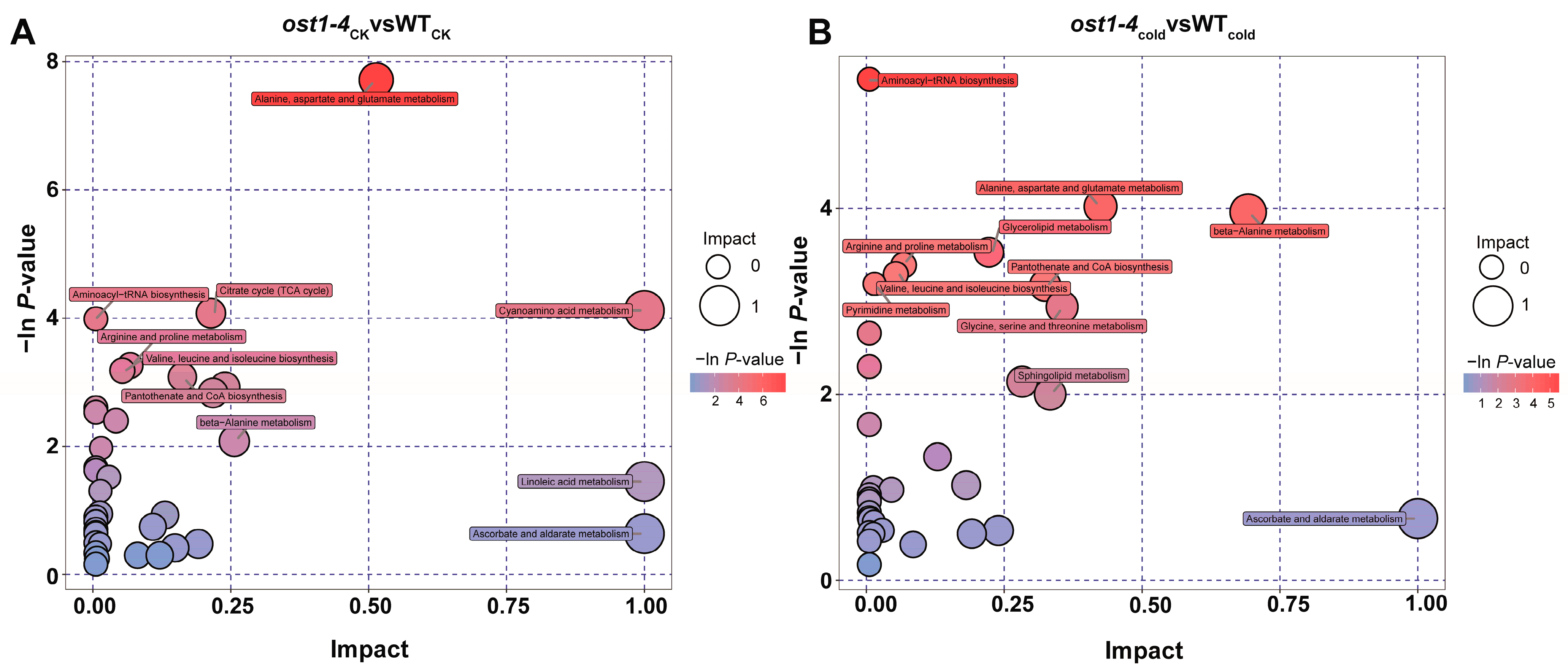 Agronomy 13 02567 g004