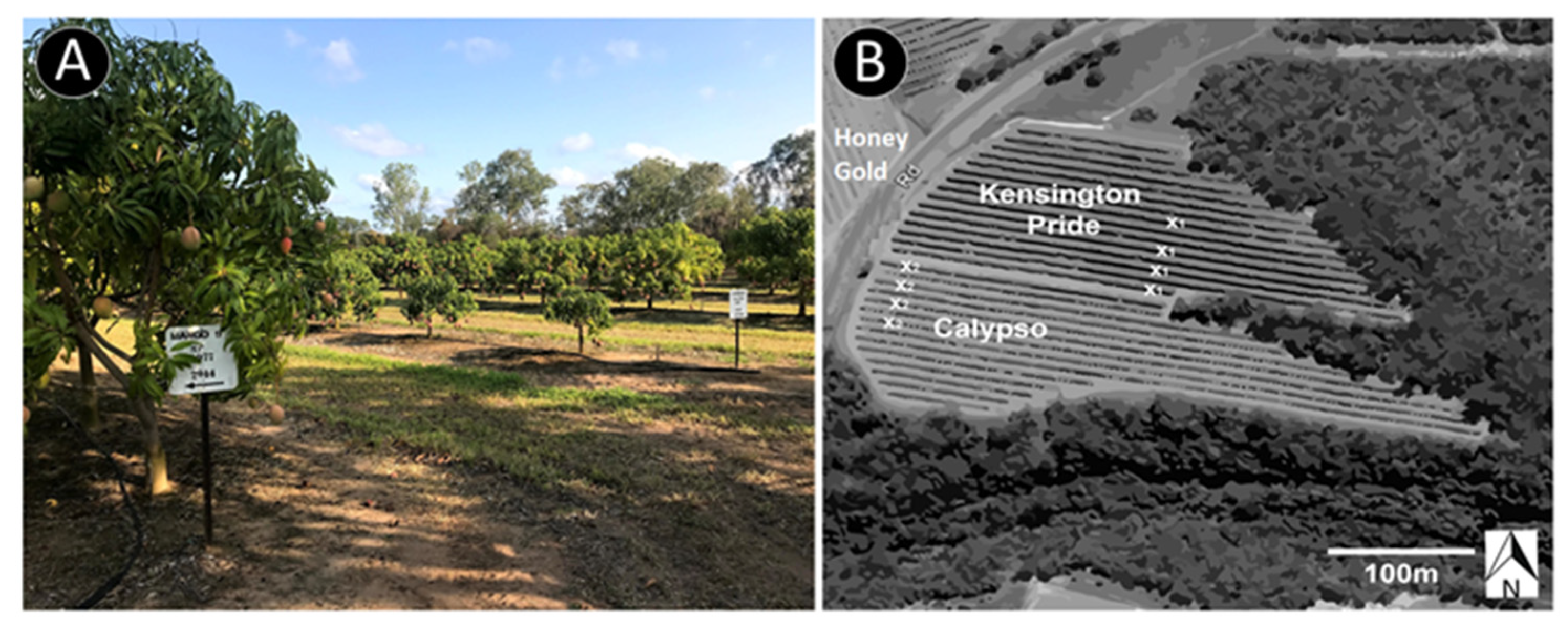 Agronomy 13 02568 g004