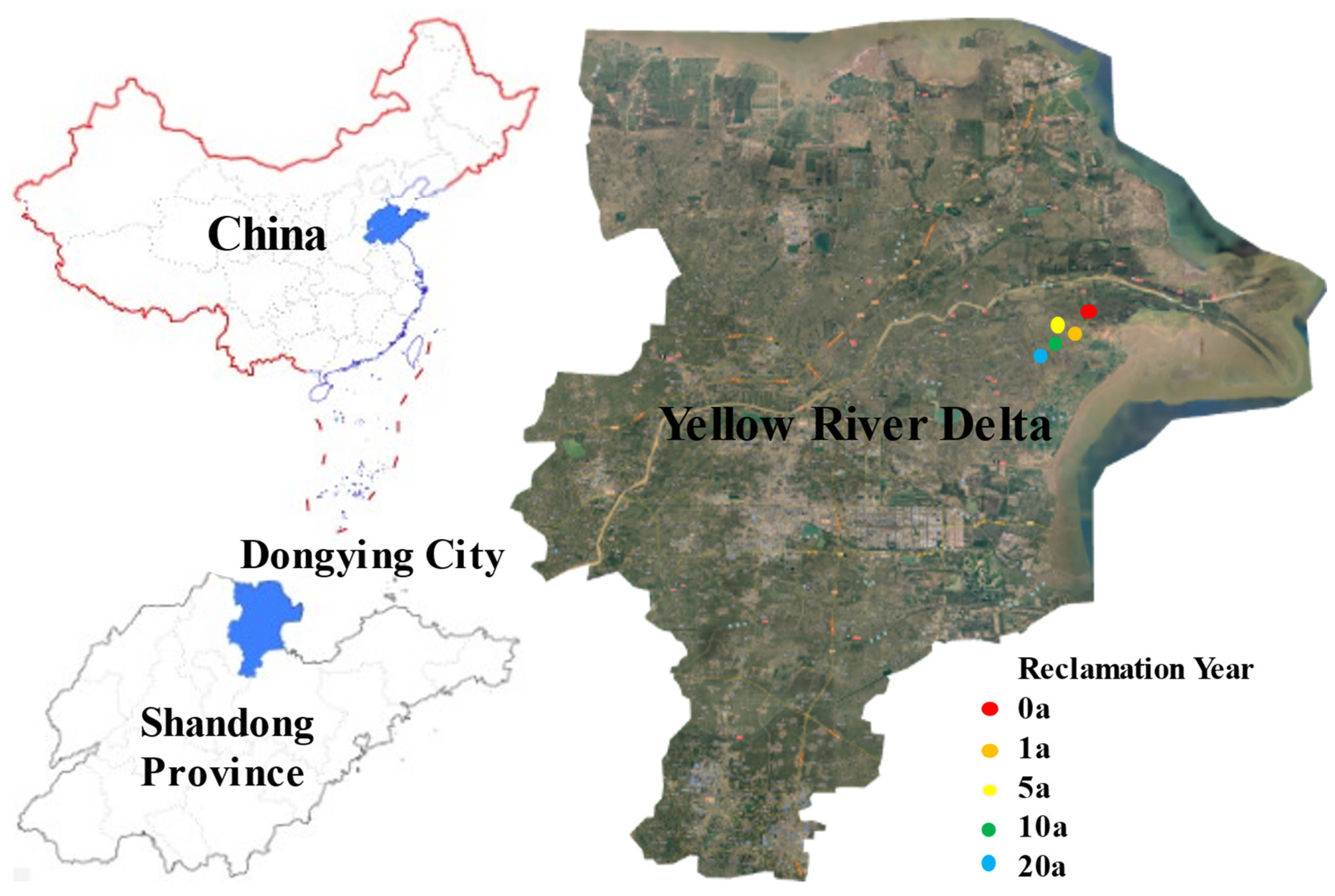 Agronomy 13 02576 g001