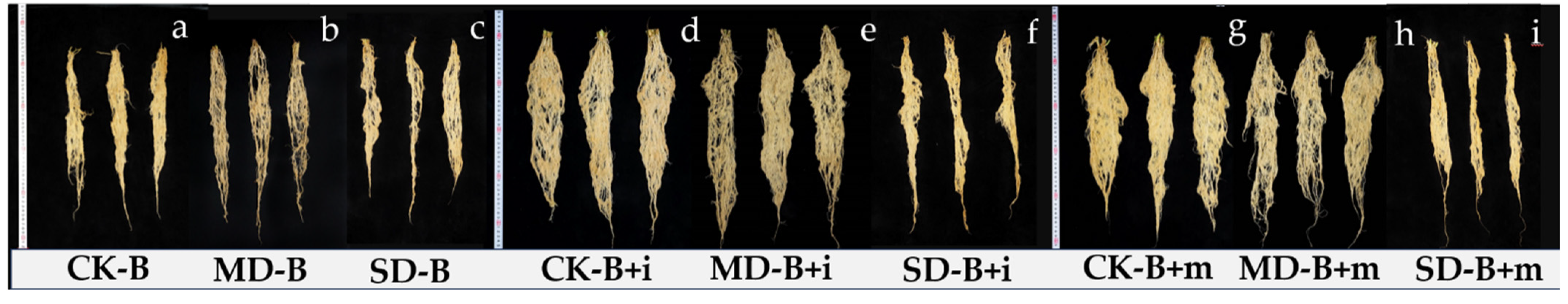 Agronomy 13 02580 g006 Agronomy 13 02580 g006