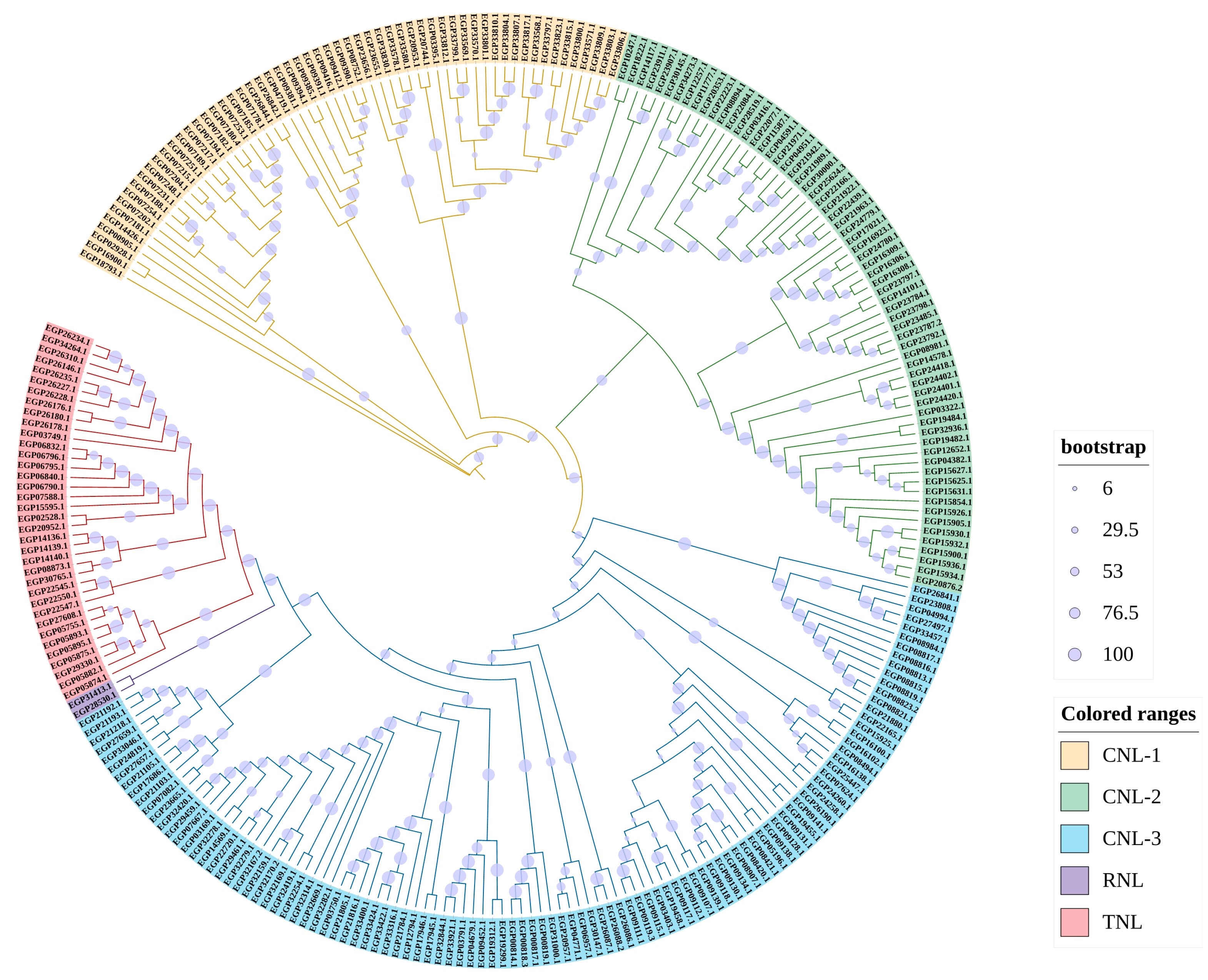 Agronomy 13 02583 g002