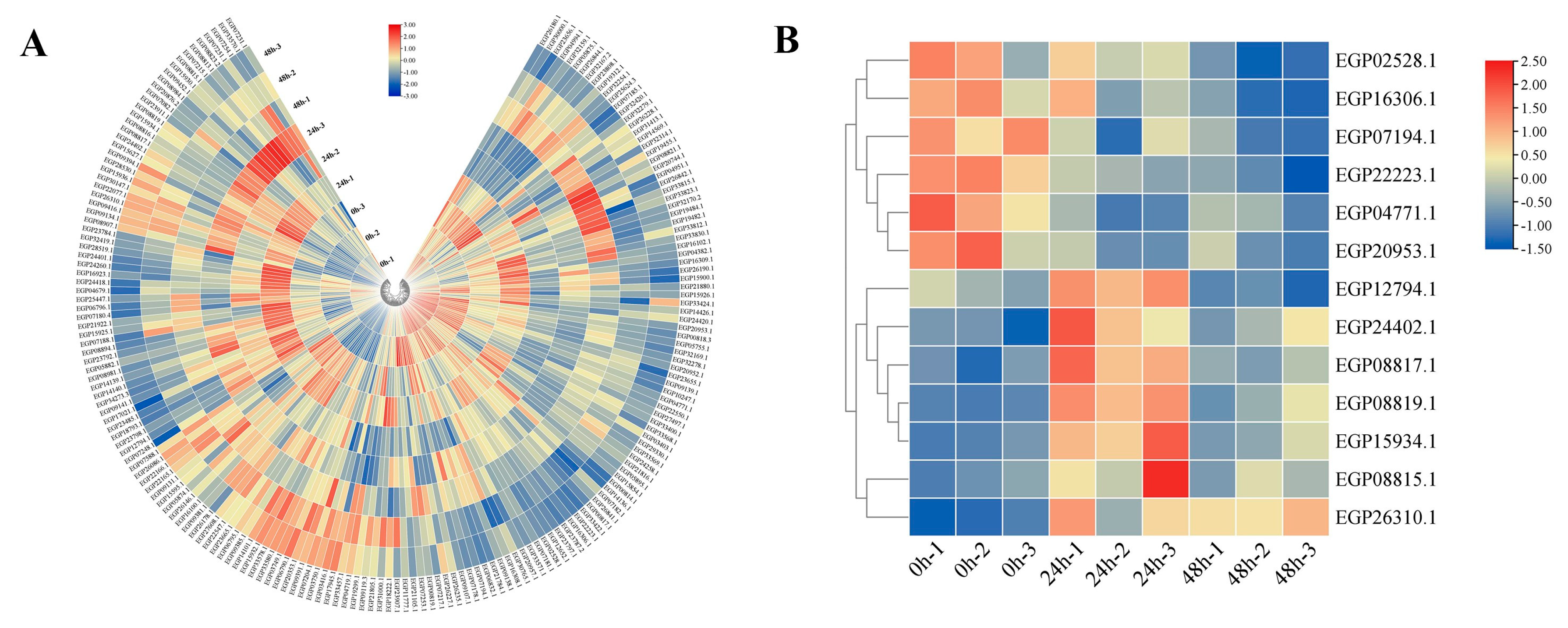 Agronomy 13 02583 g005