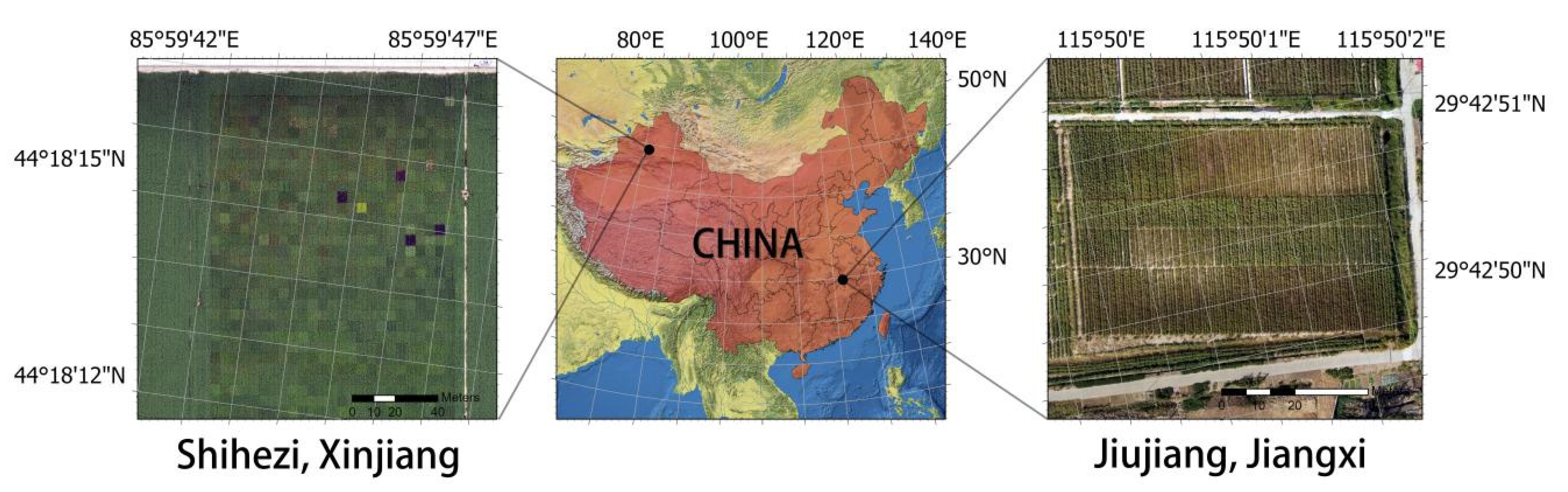 Agronomy 13 02584 g001