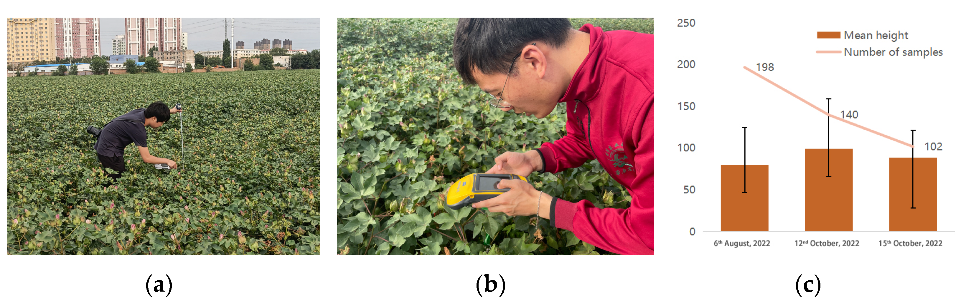 Agronomy 13 02584 g002