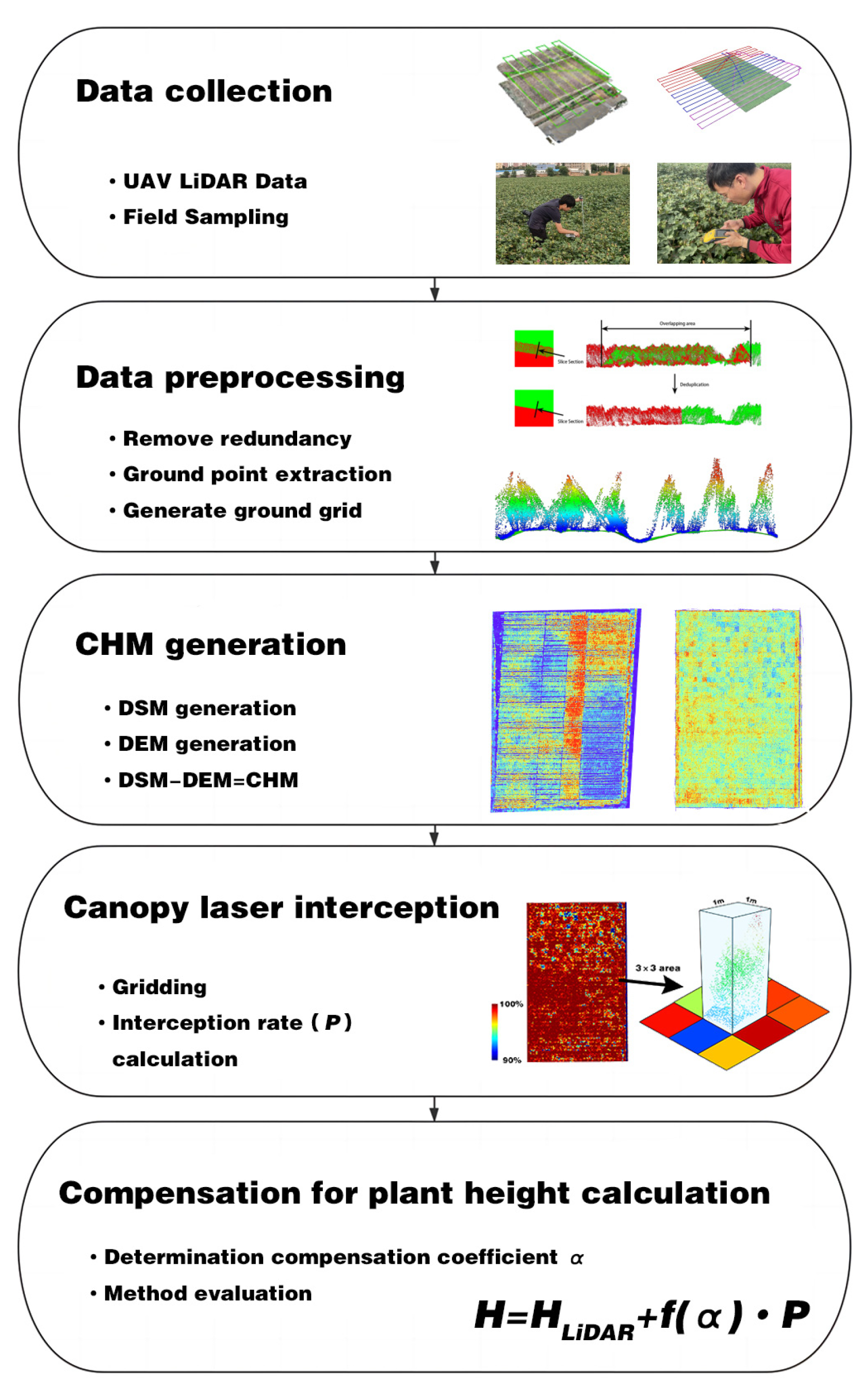 Agronomy 13 02584 g003