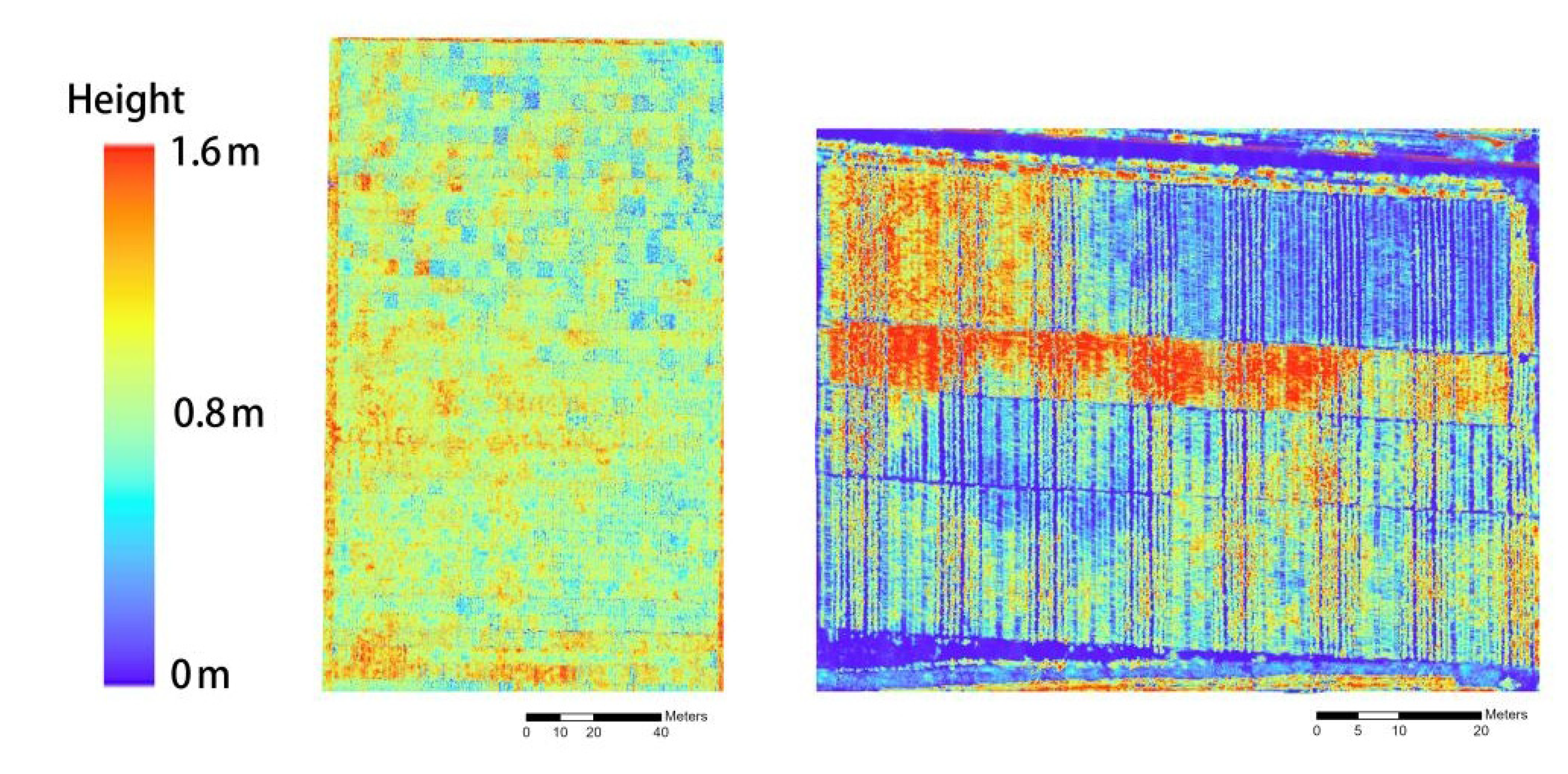 Agronomy 13 02584 g017