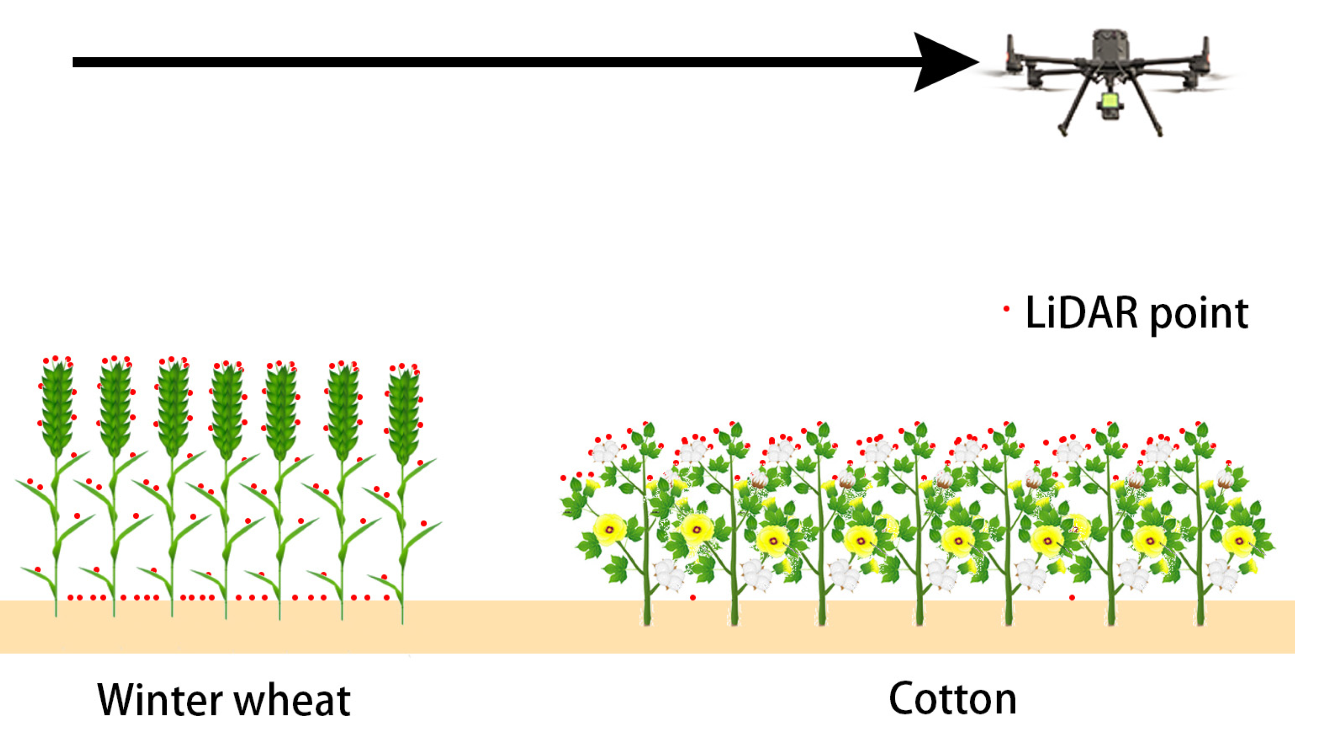 Agronomy 13 02584 g018