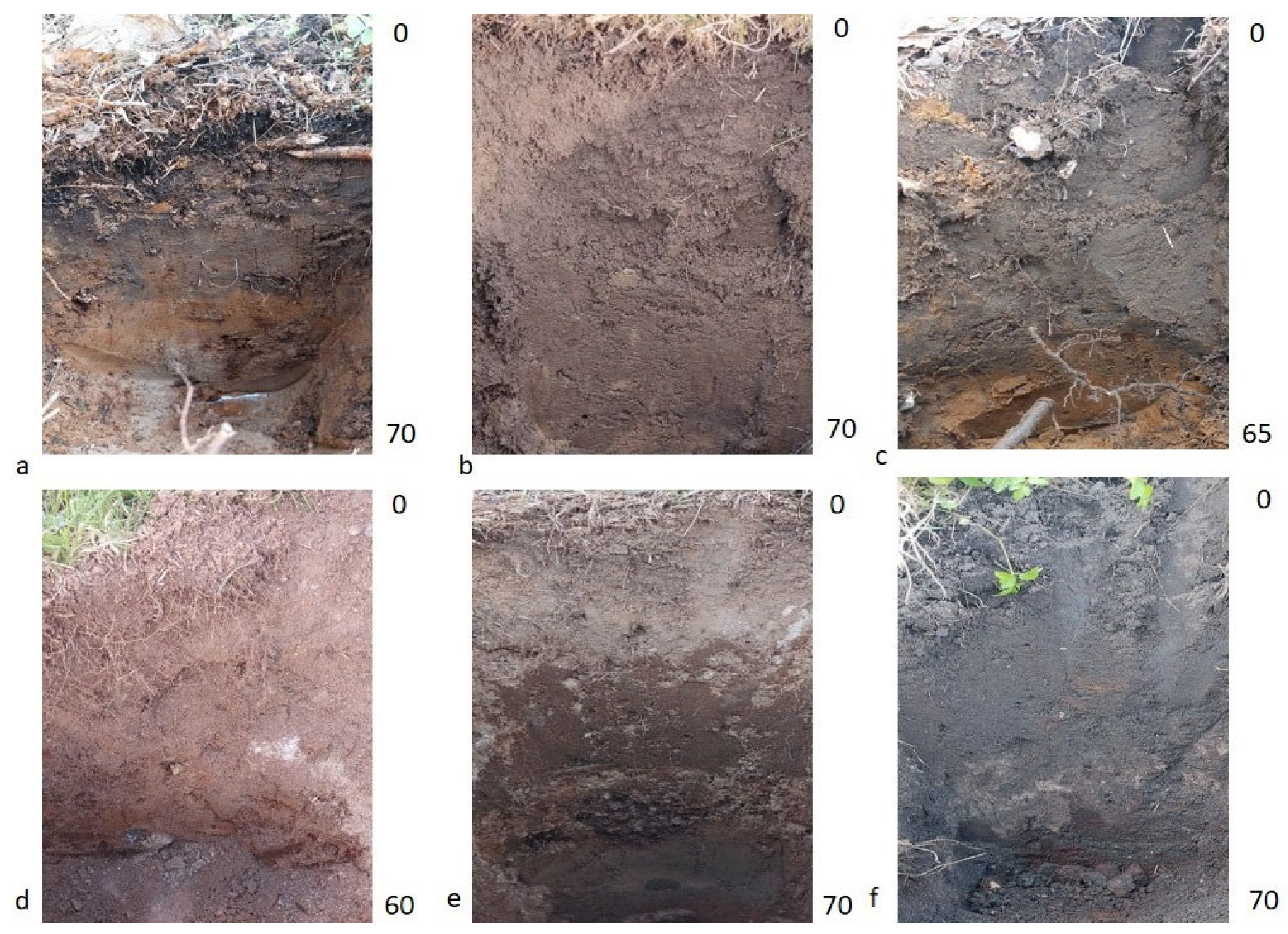 Agronomy 13 02592 g002