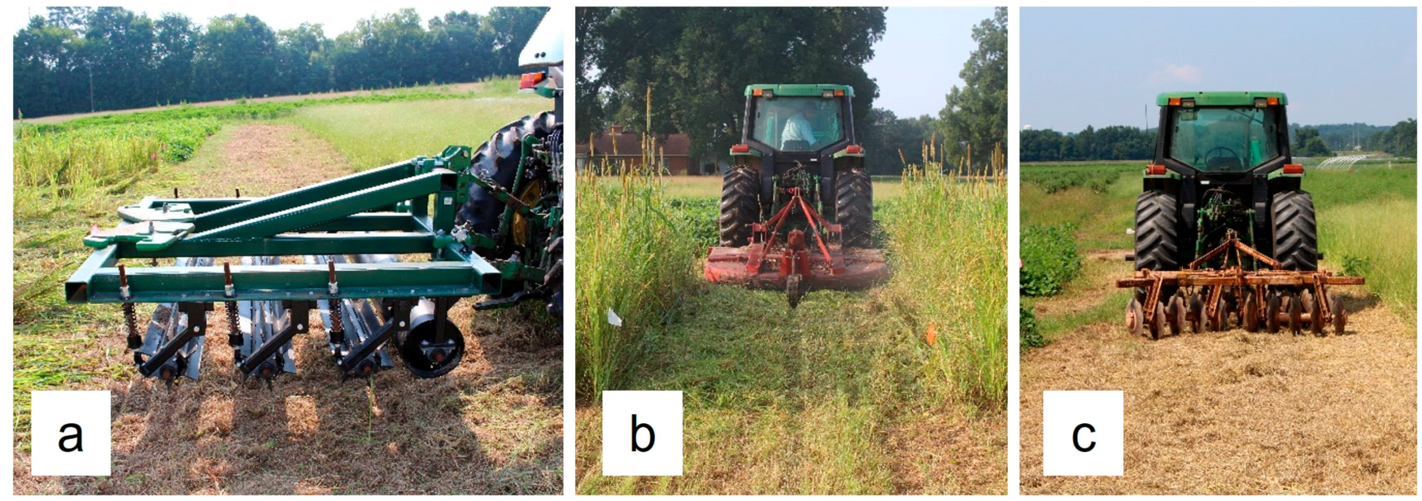 Agronomy 13 02595 g002
