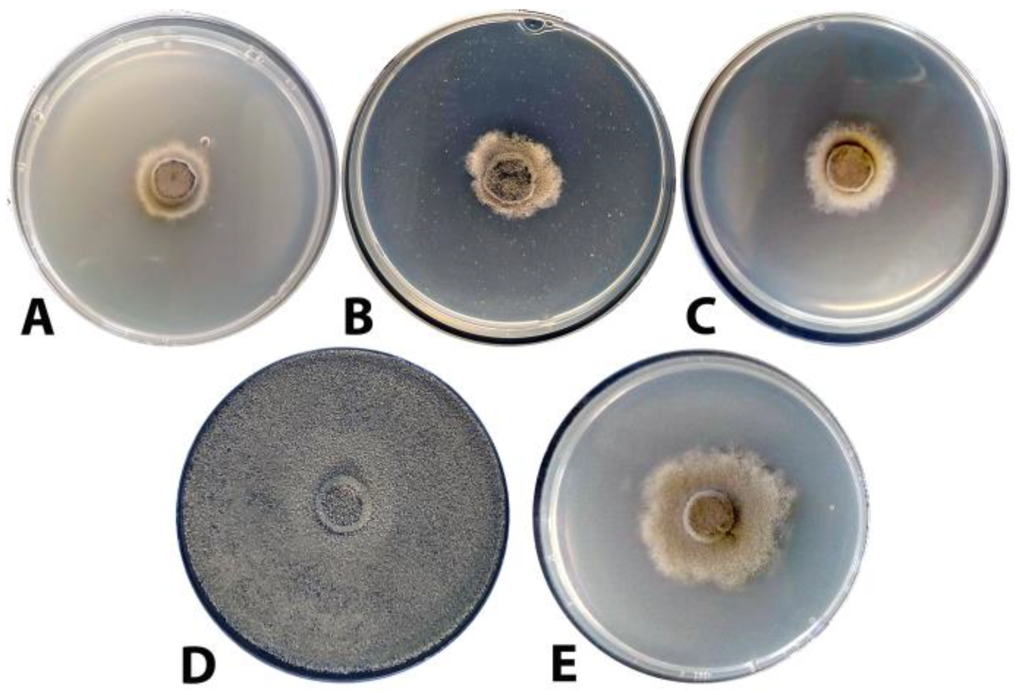 Agronomy 13 02602 g008