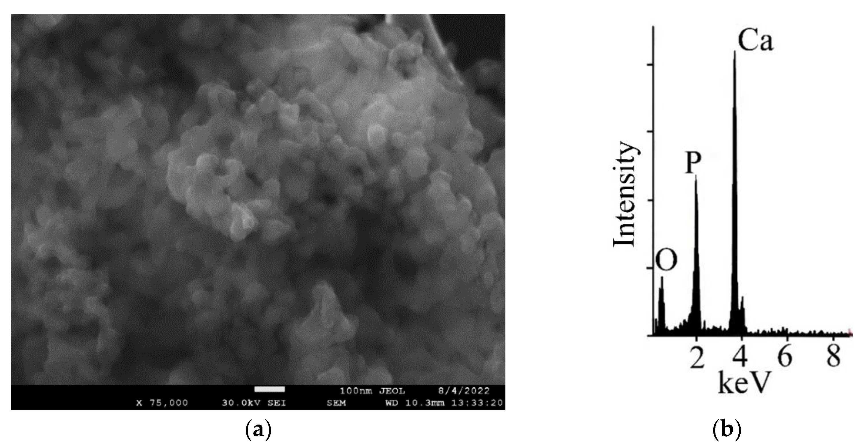 Agronomy 13 02606 g003