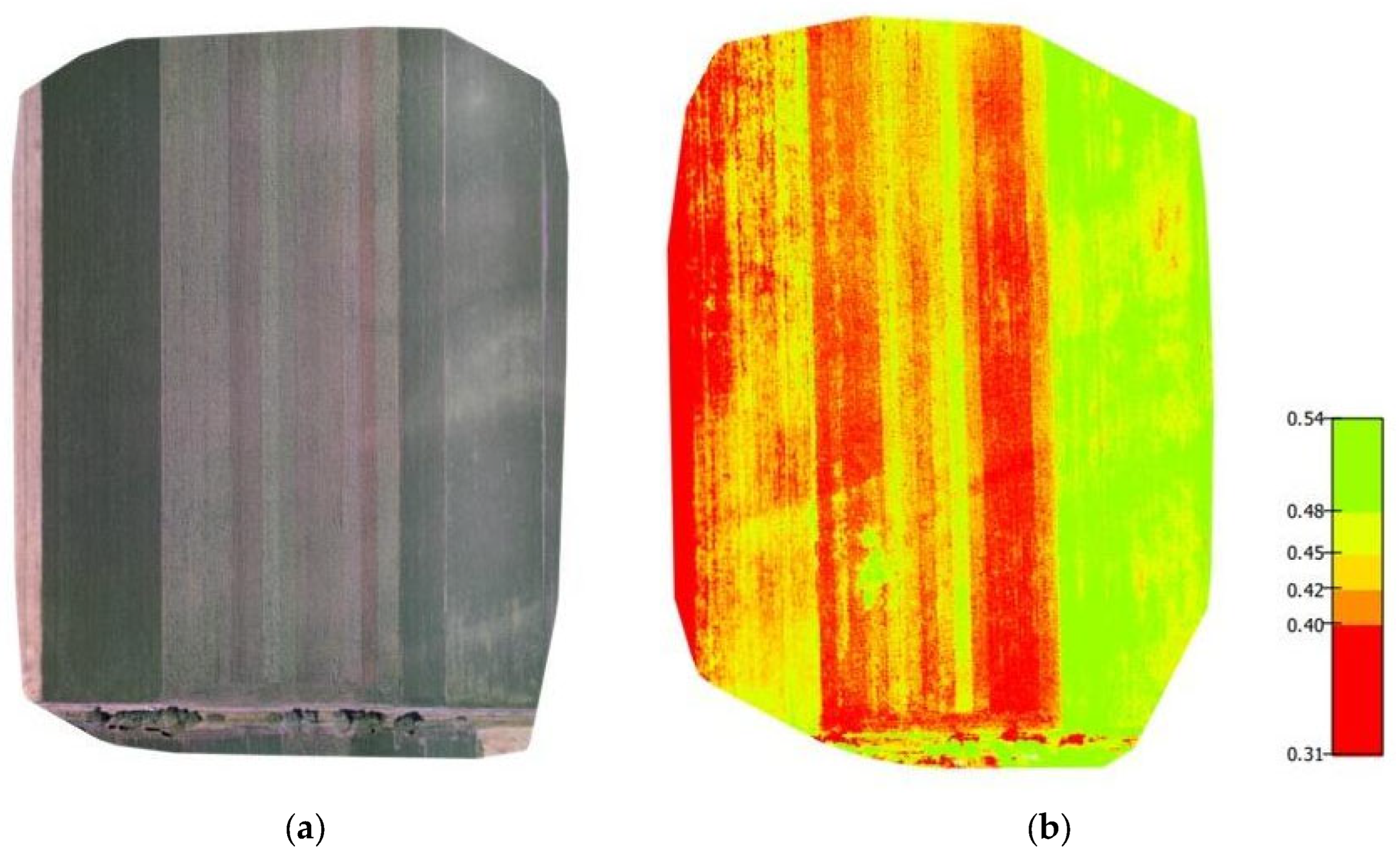 Agronomy 13 02615 g001