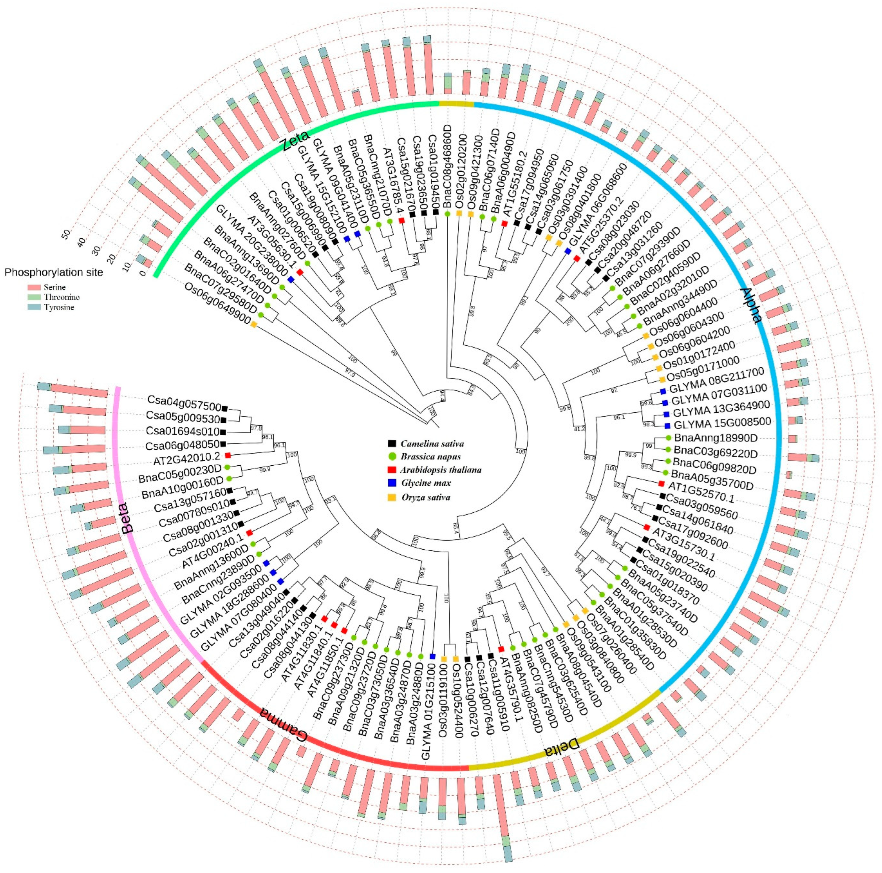 Agronomy 13 02616 g001