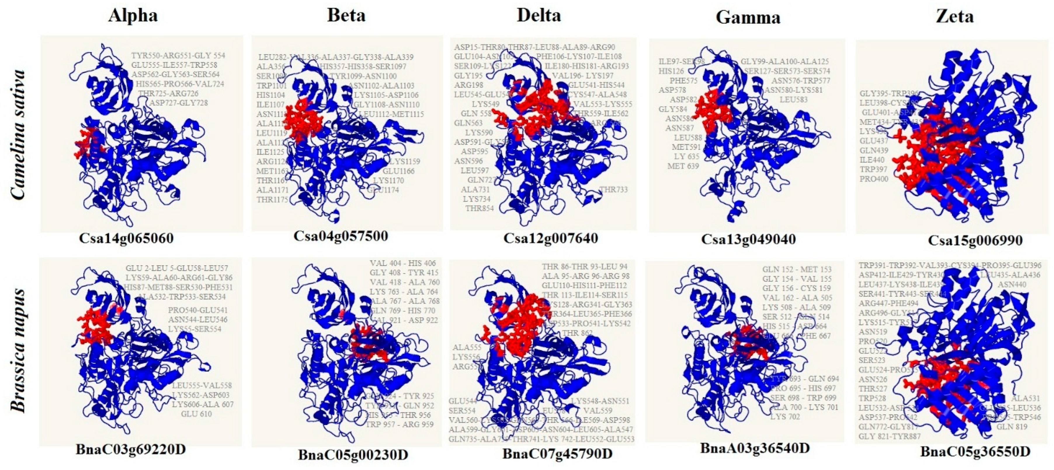 Agronomy 13 02616 g006