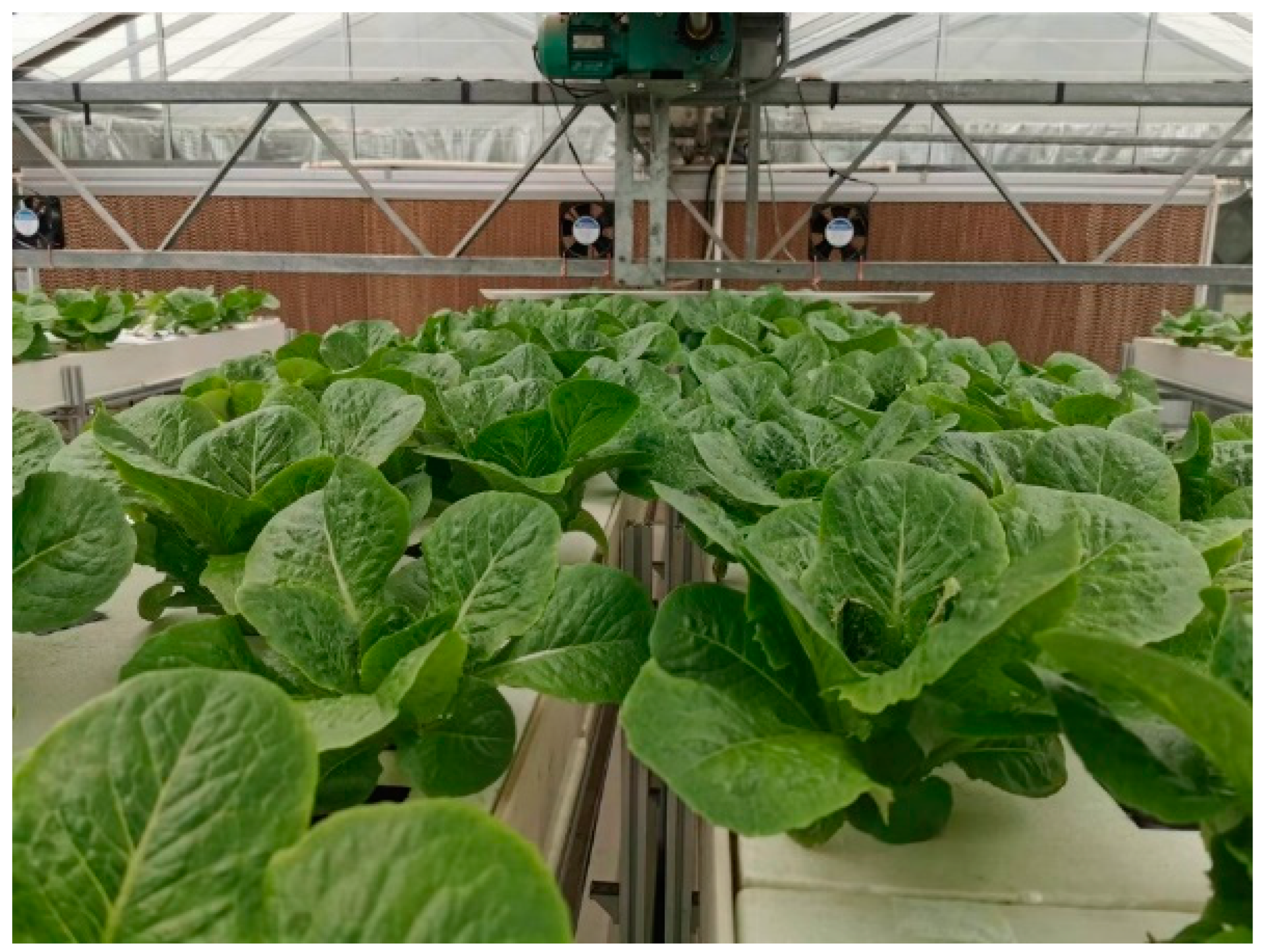 Agronomy 13 02617 g001