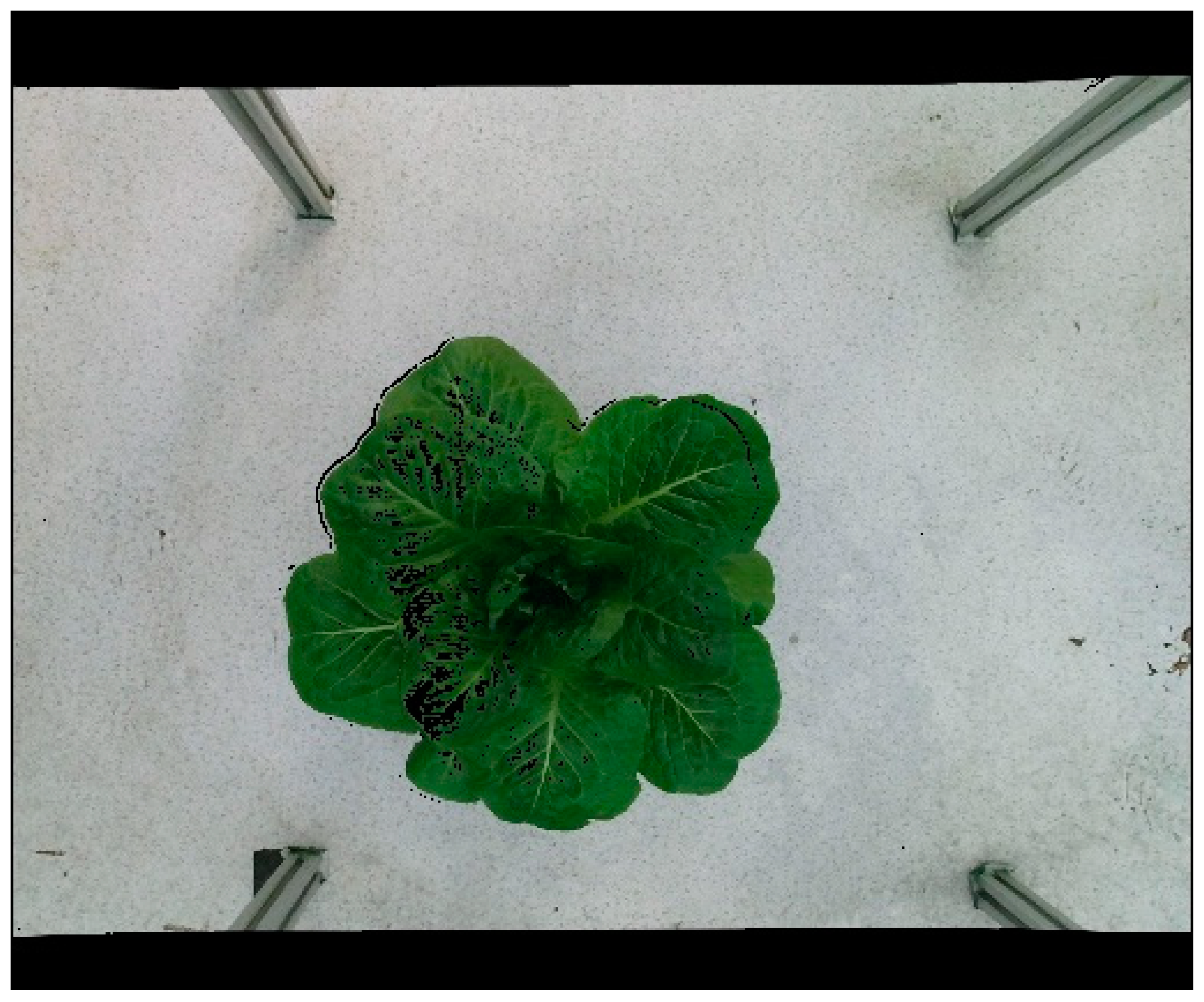 Agronomy 13 02617 g006