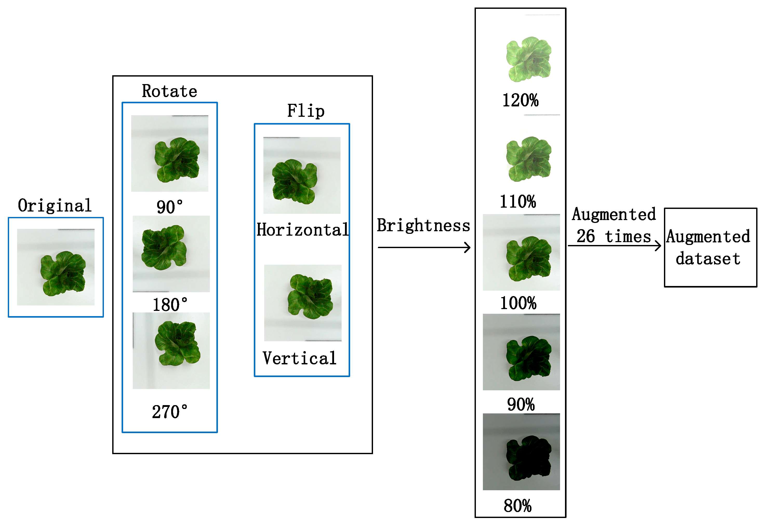 Agronomy 13 02617 g007