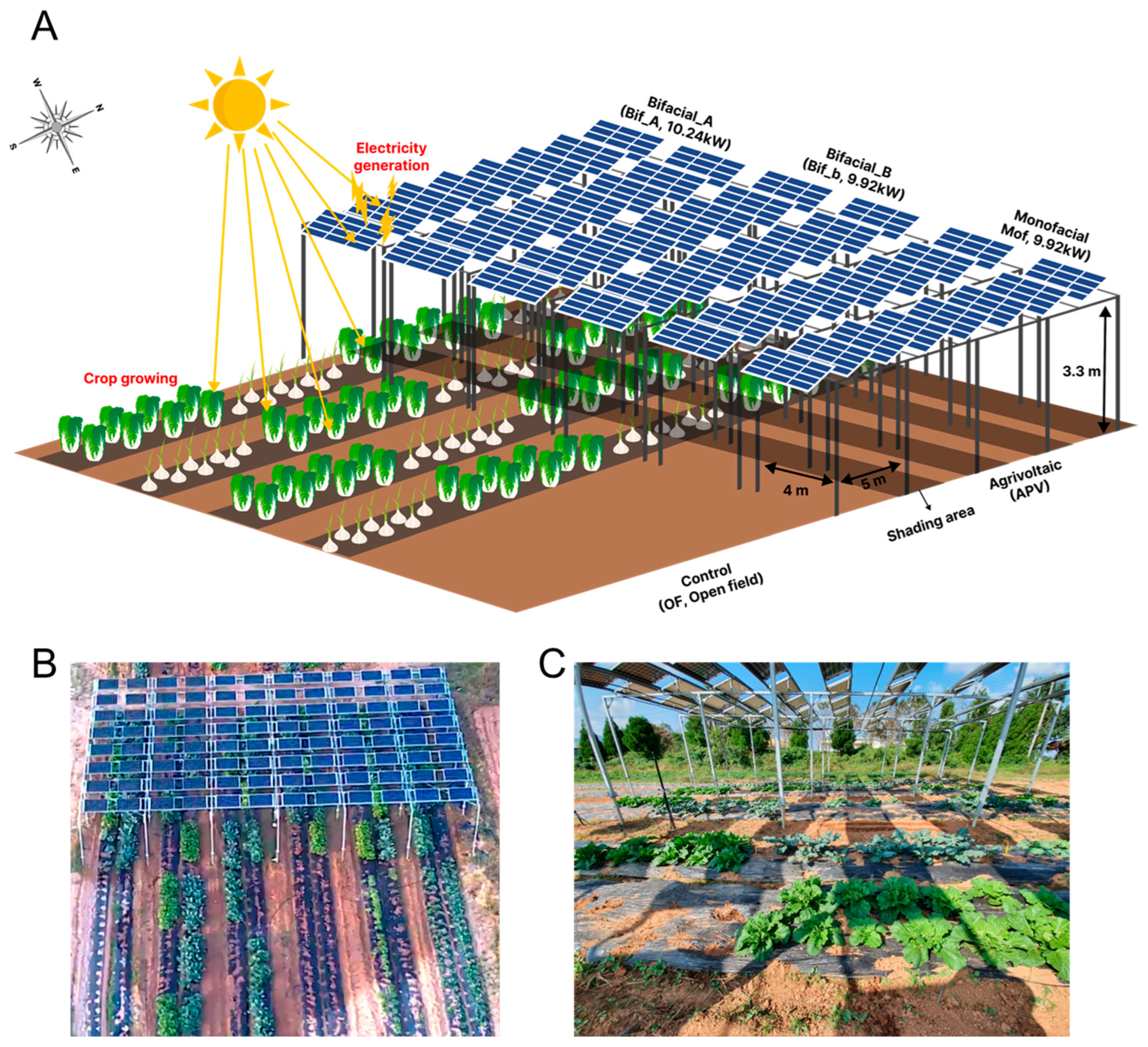 Agronomy 13 02625 g001 Agronomy 13 02625 g001