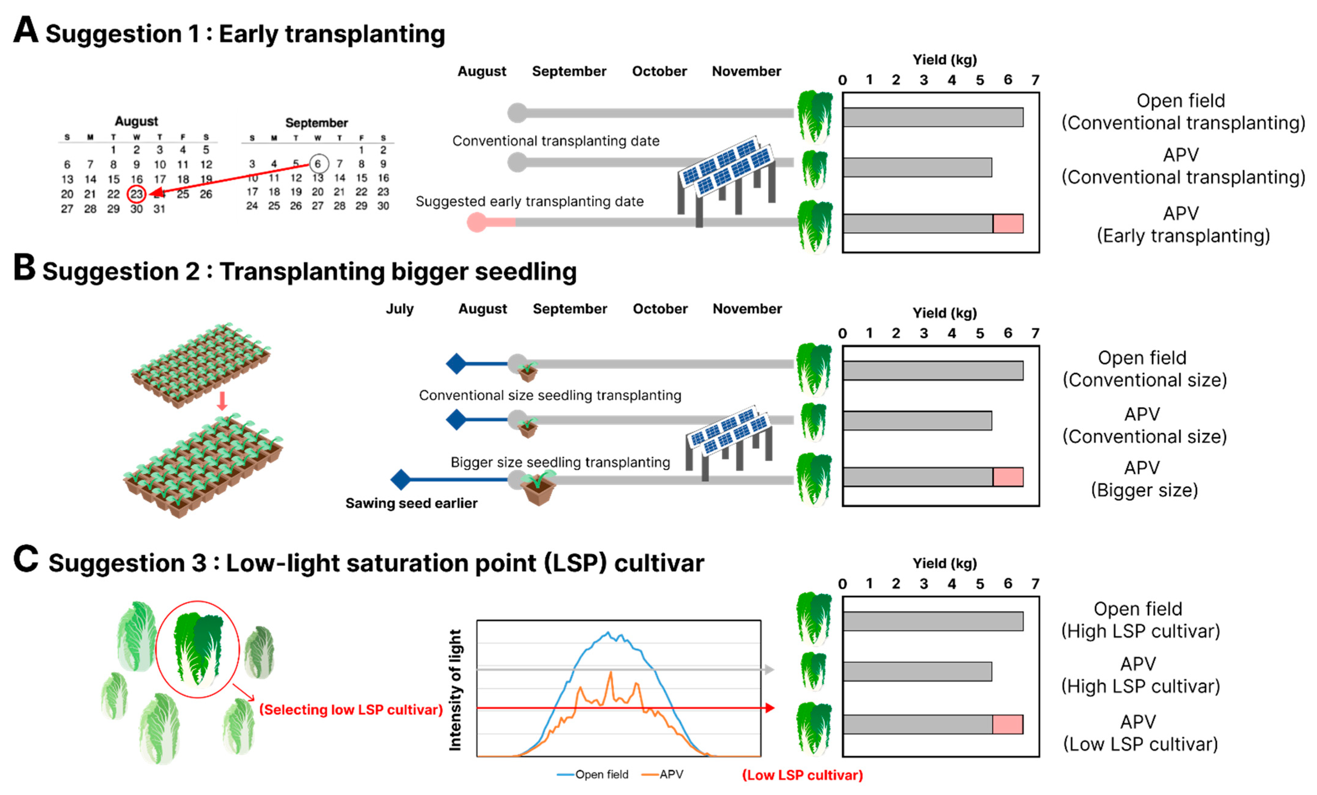Agronomy 13 02625 g007 Agronomy 13 02625 g007