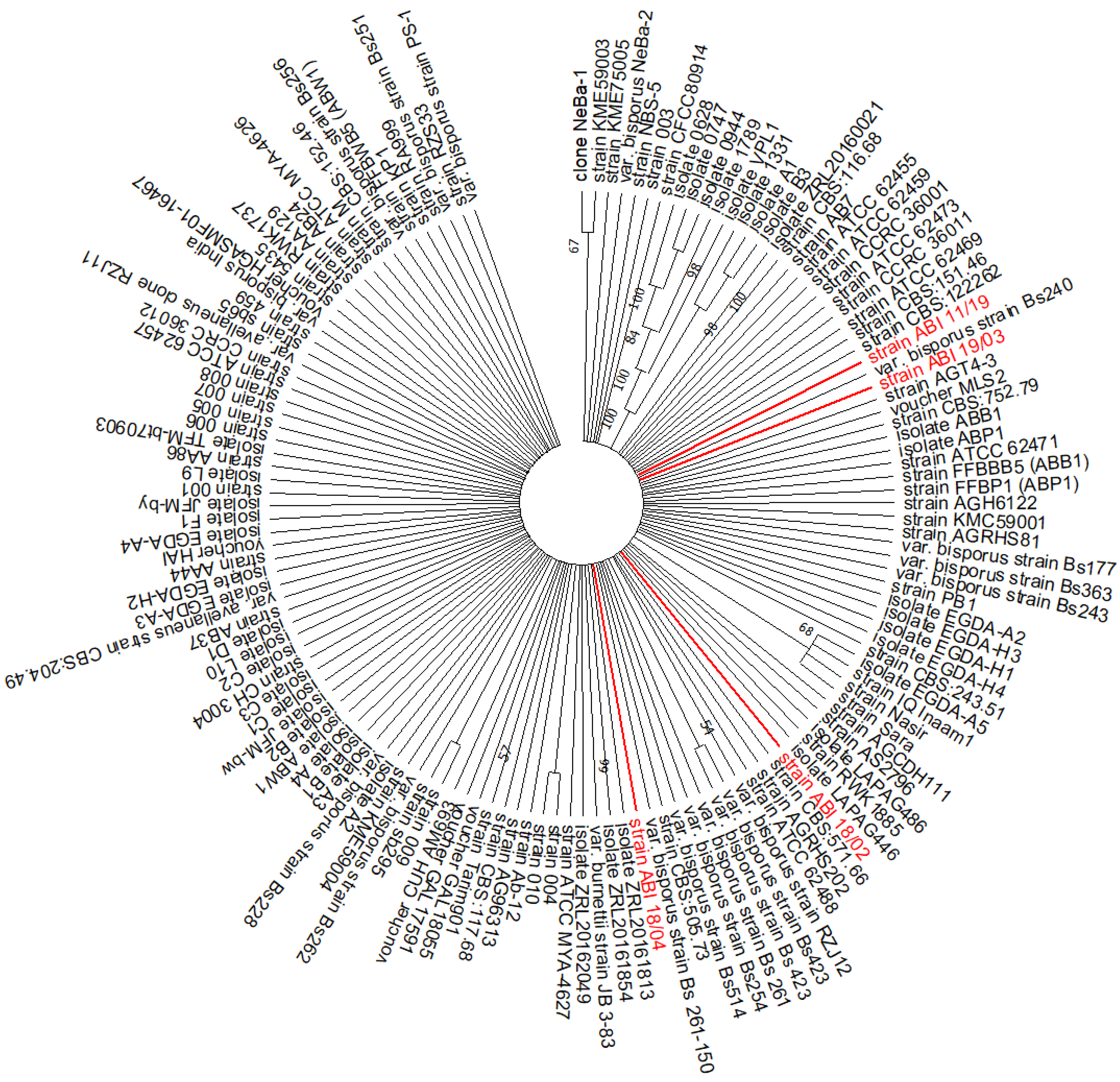 Agronomy 13 02626 g002
