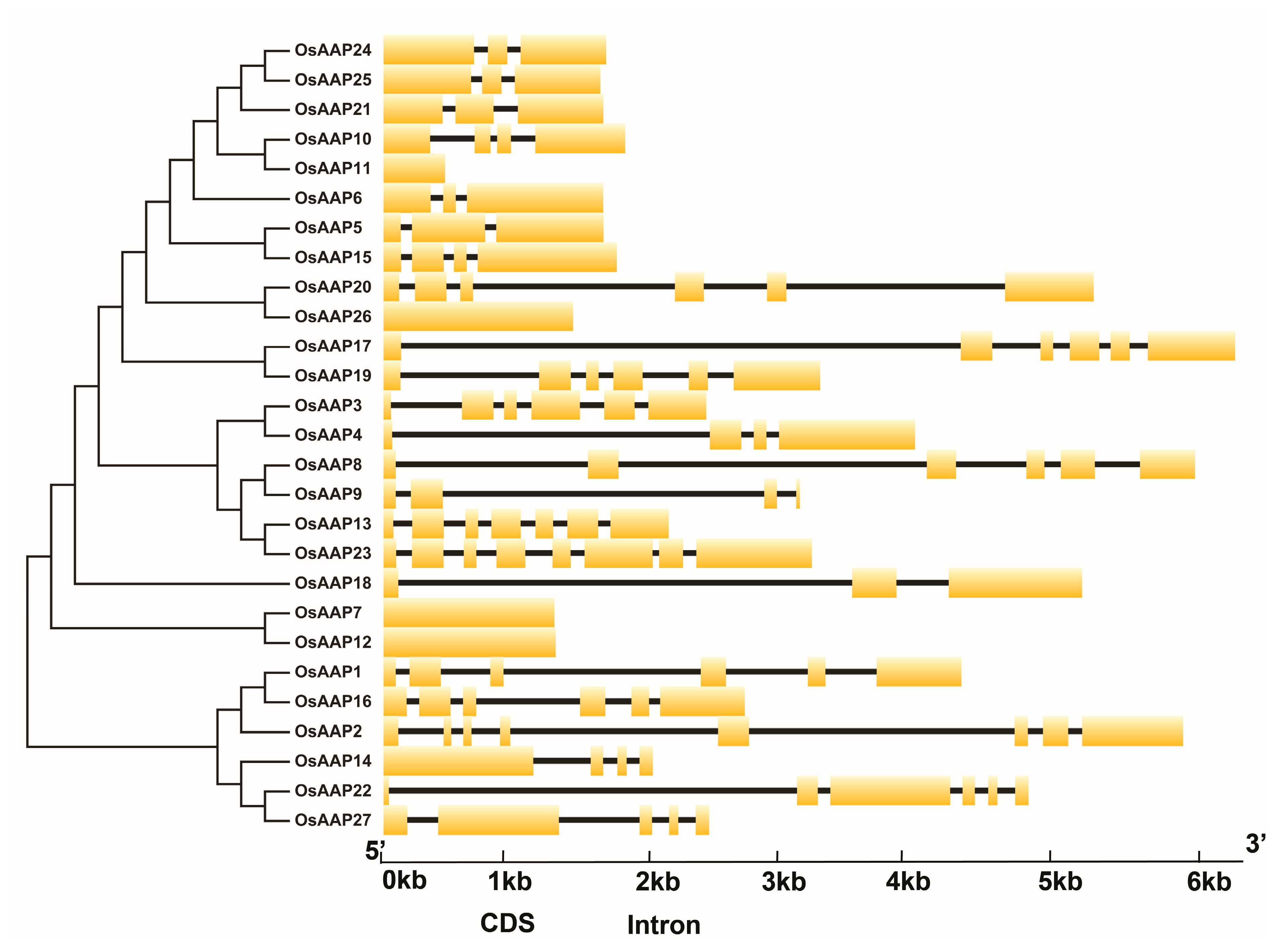 Agronomy 13 02629 g005 Agronomy 13 02629 g005