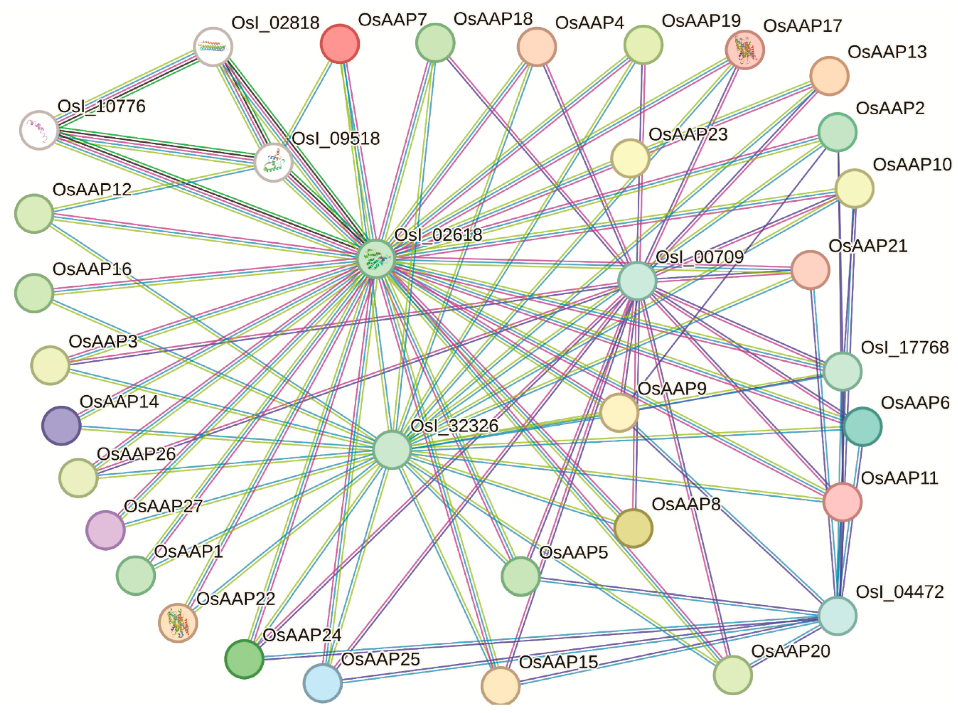 Agronomy 13 02629 g010 Agronomy 13 02629 g010