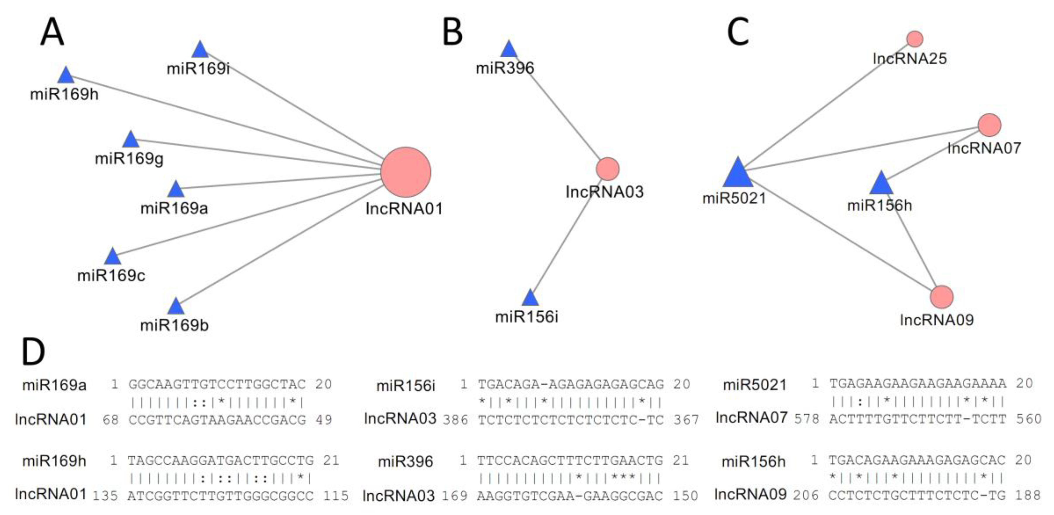 Agronomy 13 02631 g003
