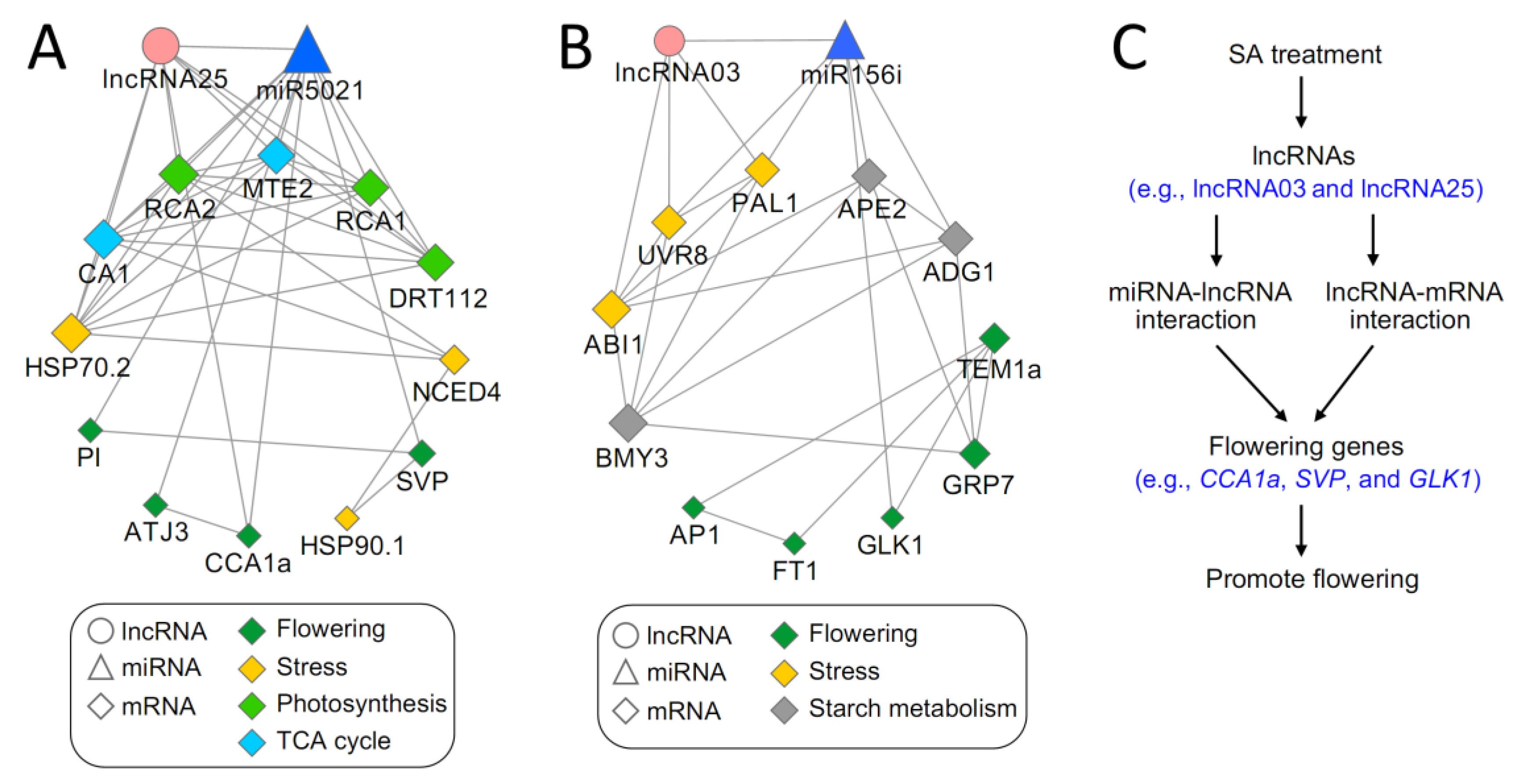 Agronomy 13 02631 g006