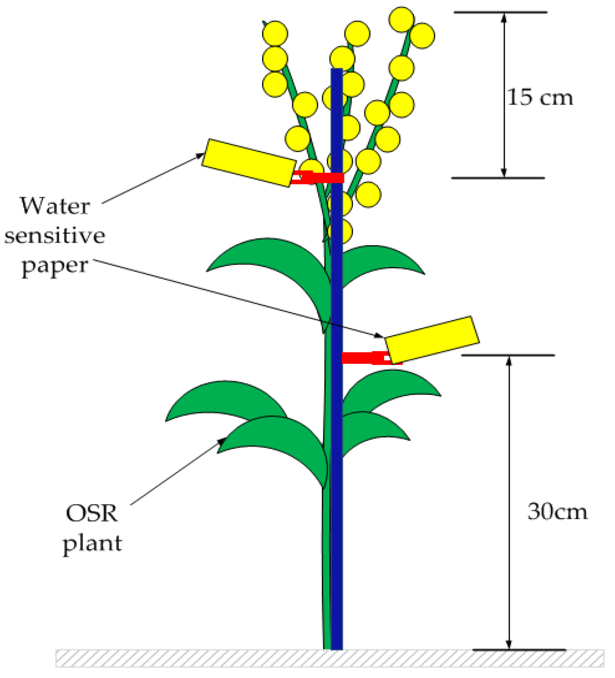 Agronomy 13 02635 g005