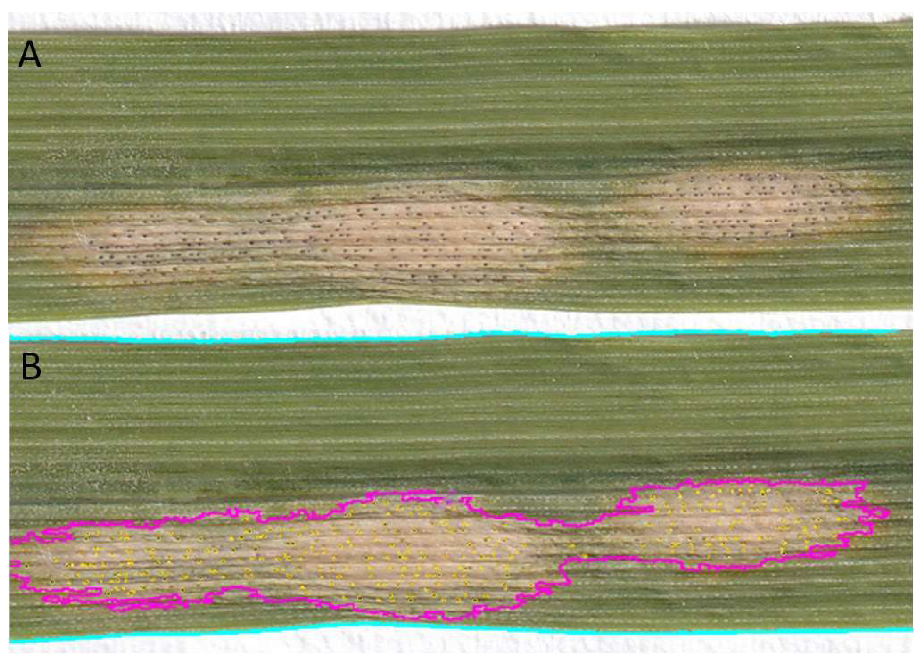 Agronomy 13 02638 g001