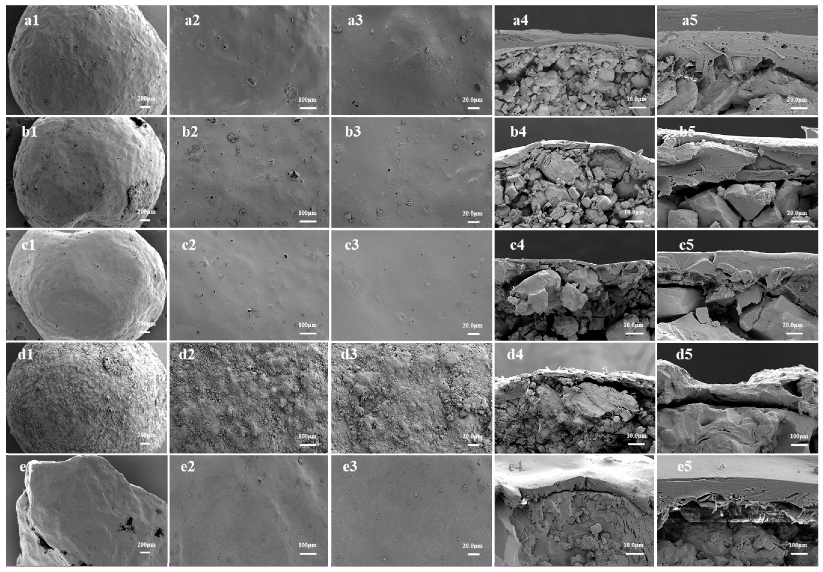 Agronomy 13 02641 g011