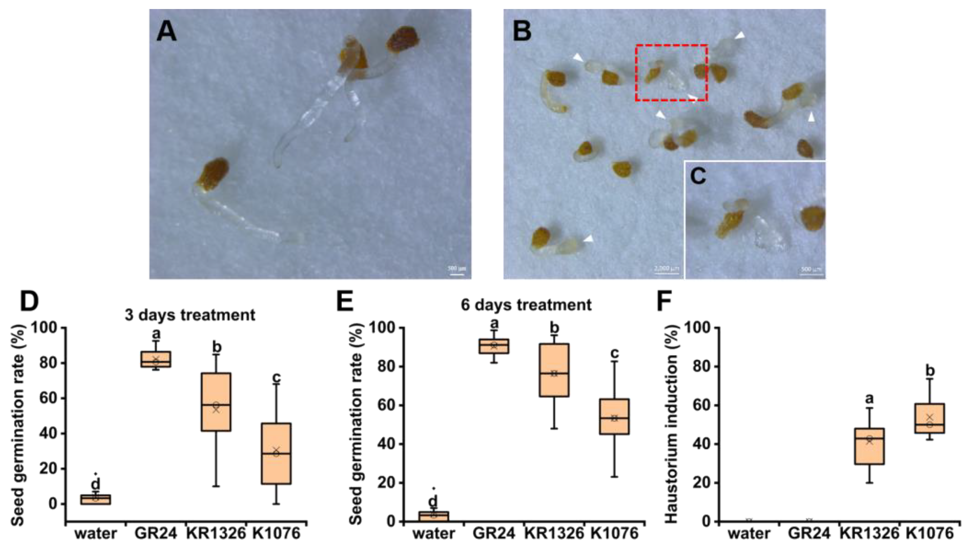 Agronomy 13 02648 g001